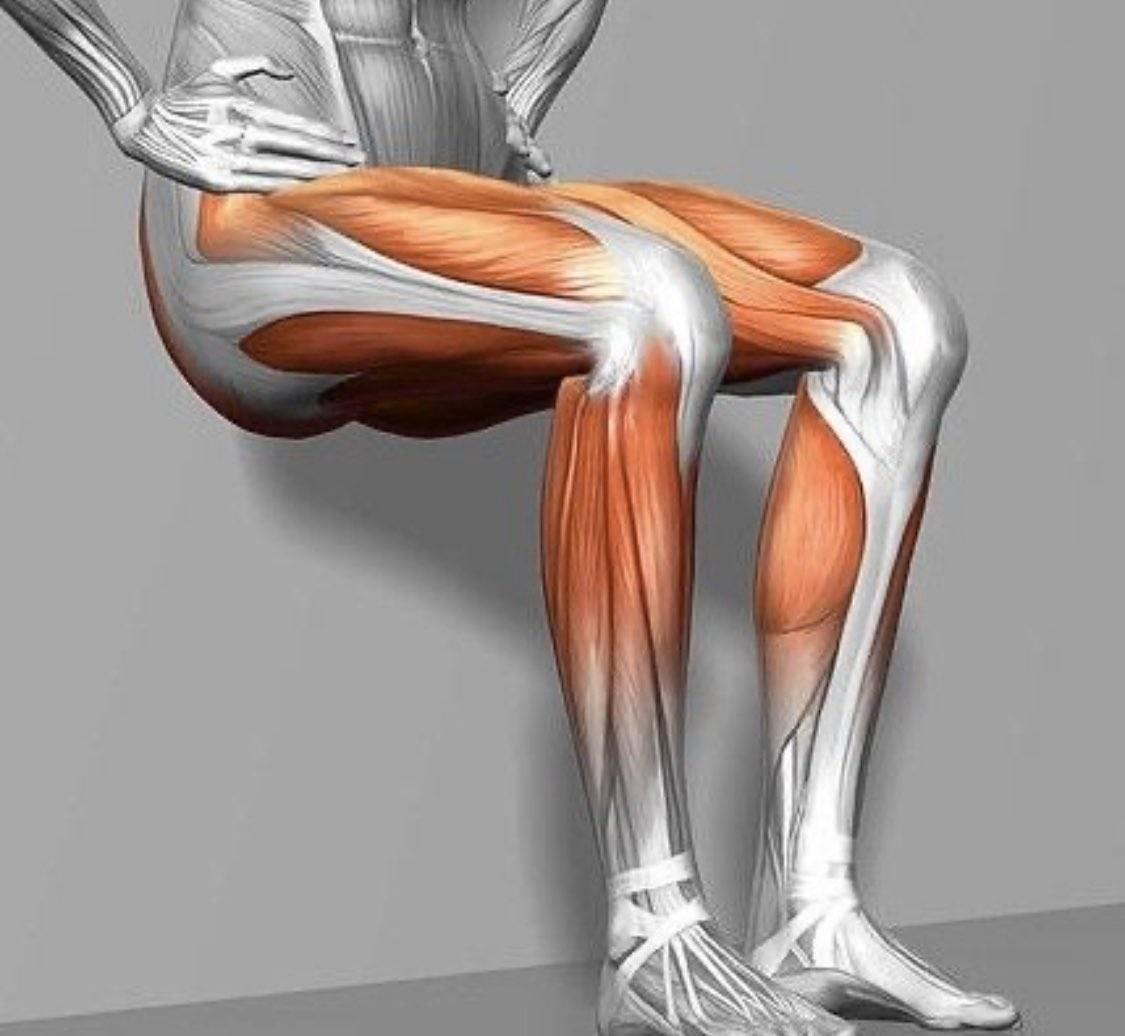 Ноги и мышцы все время. Упражнение стульчик мышцы. Статическое упражнение стульчик. Упражнение стульчик у стены мышцы. Анатомия упражнений на стуле.