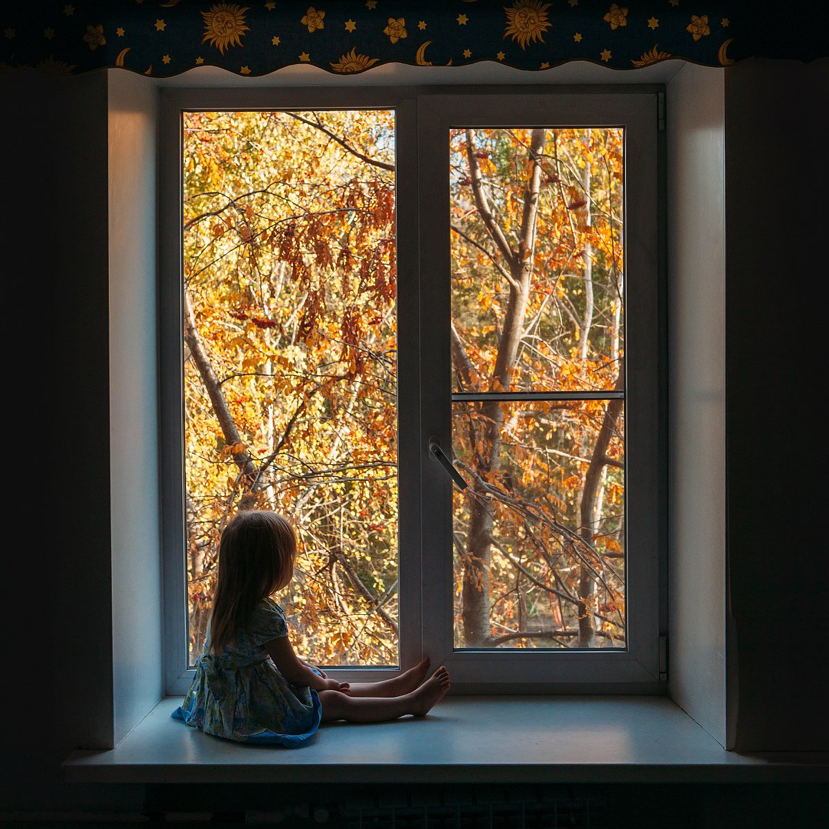 Был вечер за окном. Окно осень. У окна. Осенний подоконник. Осень за окном.