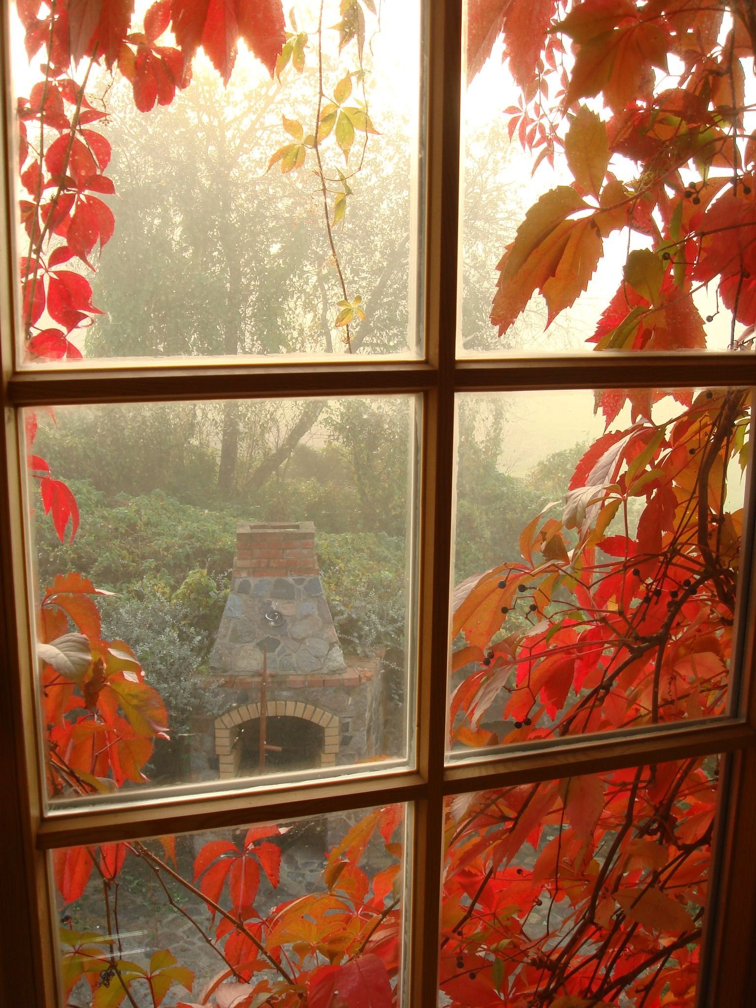 Осень за окном - 67 фото