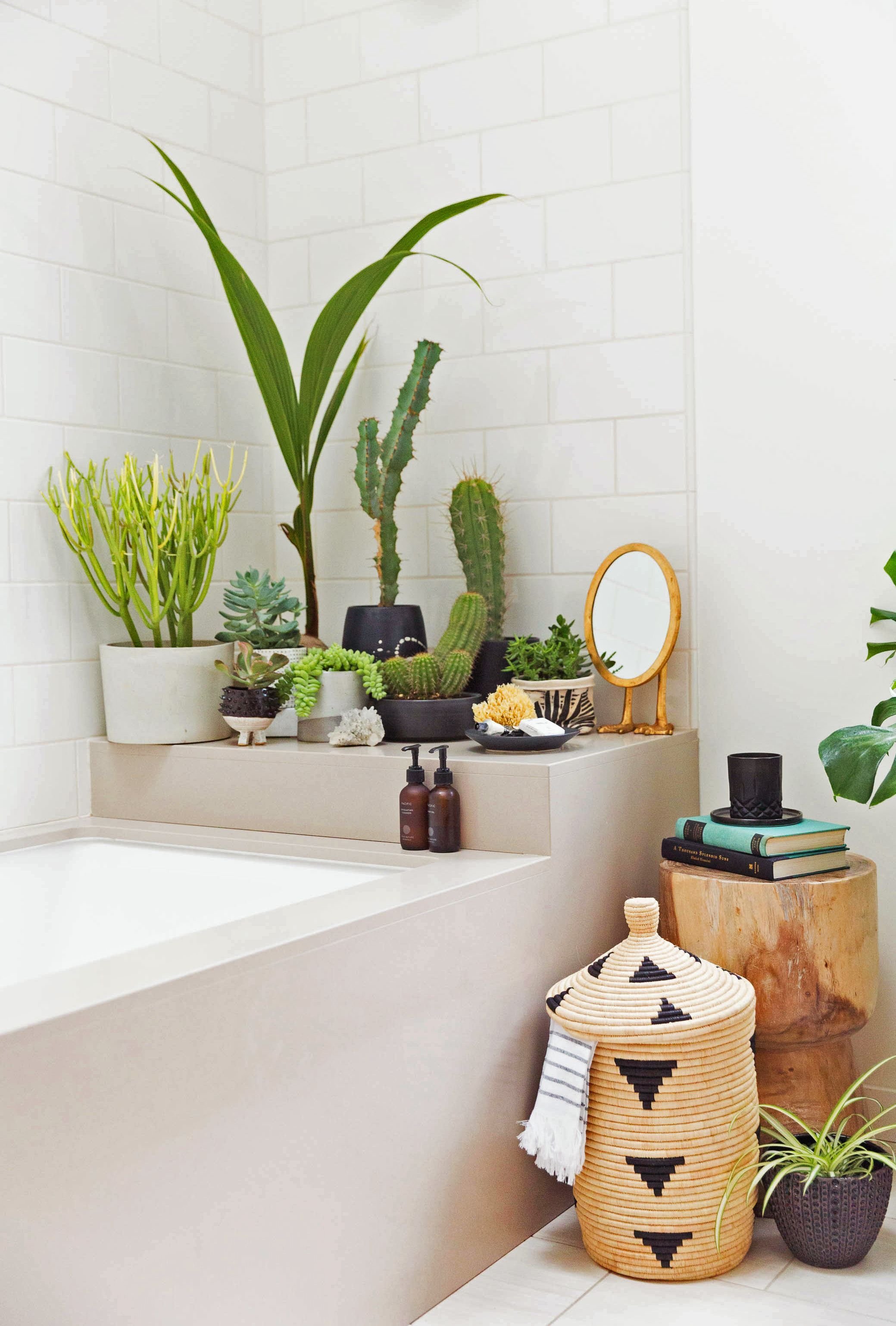 Цветы в ванной без окон. Декор ванной комнаты. Комнатные растения в ванной комнате. Искусственные растения в ванной. Растения в ванной комнате интерьер.