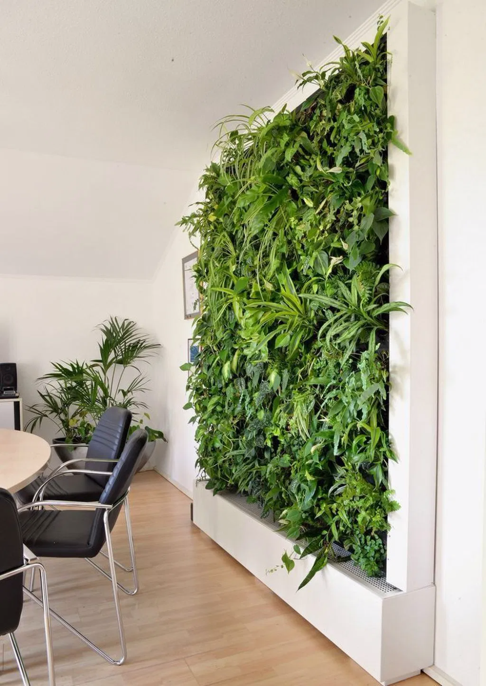 Зеленая стена из растений