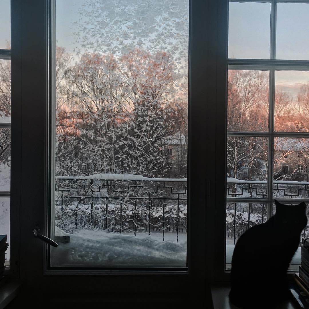 Зима вид из окна