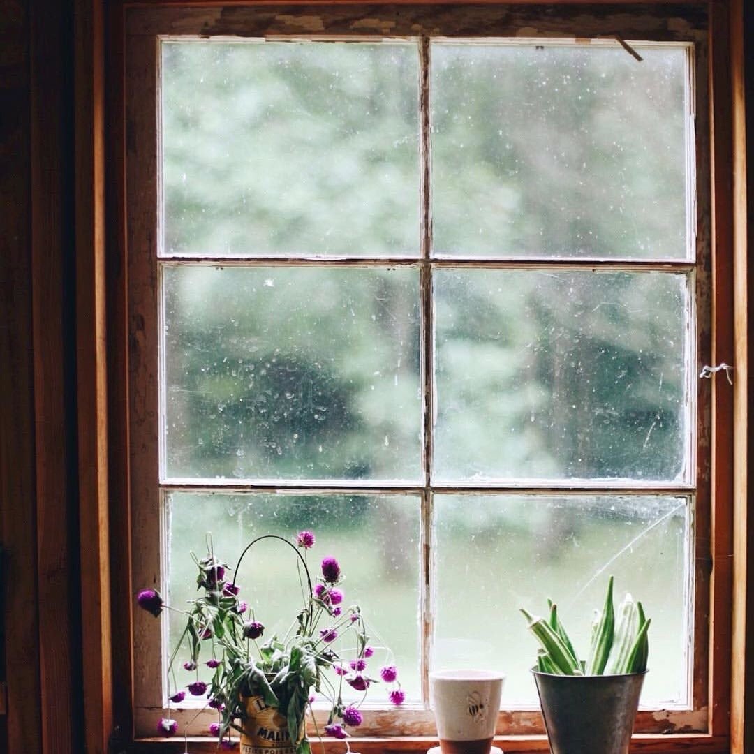 Голодное окно. Красивые окна. У окна. Деревенское окно. Окно изнутри.