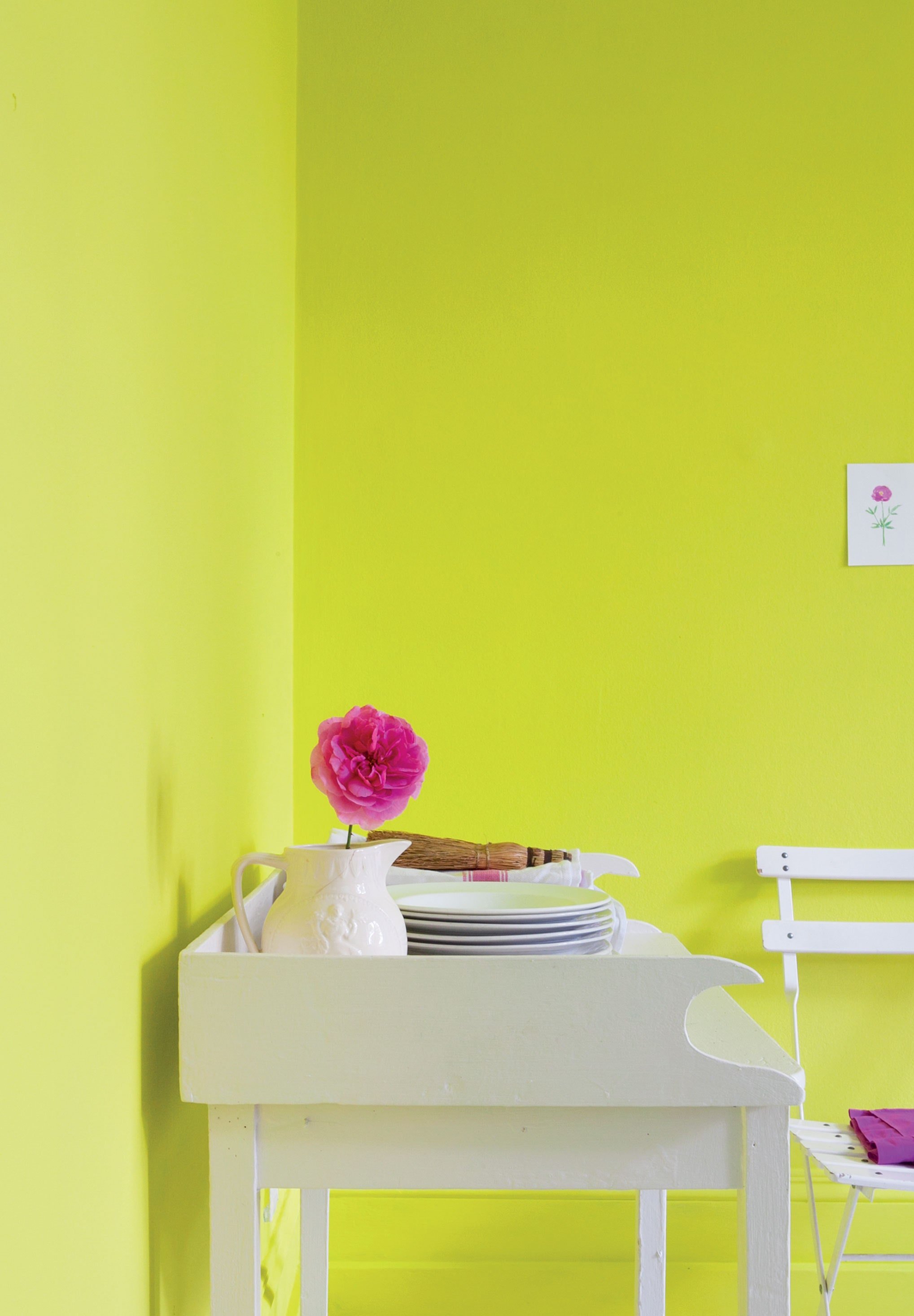 Краски под обои цвета. Яркая краска для стен. Краска для стен цвета. Яркие цвета для стен. Красивый цвет стен.