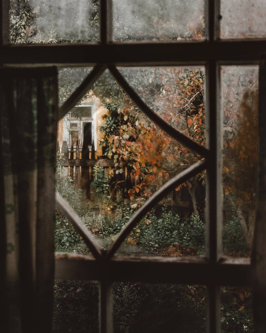 Серая осень за окнами дождь
