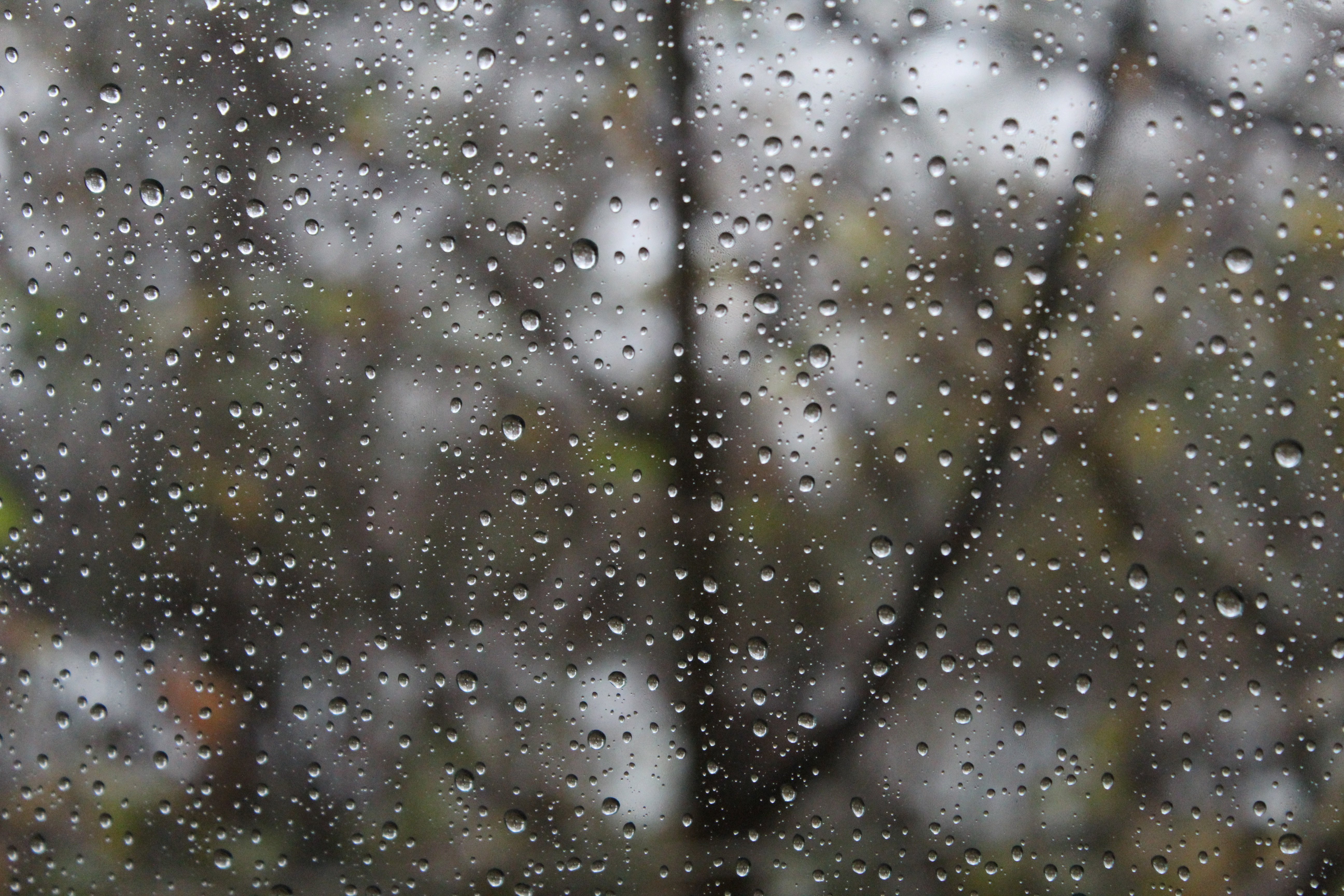 Холодный серый дождь