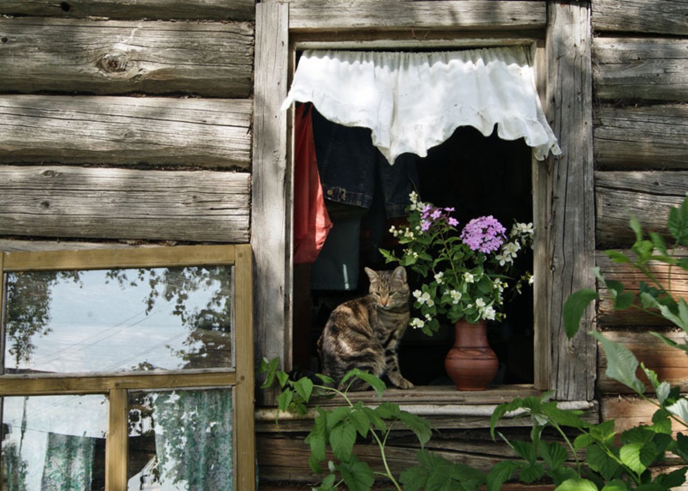 Хату открывай. Деревенское окно. Окно в деревенском доме. Старинные окна. Деревенское окно изнутри.