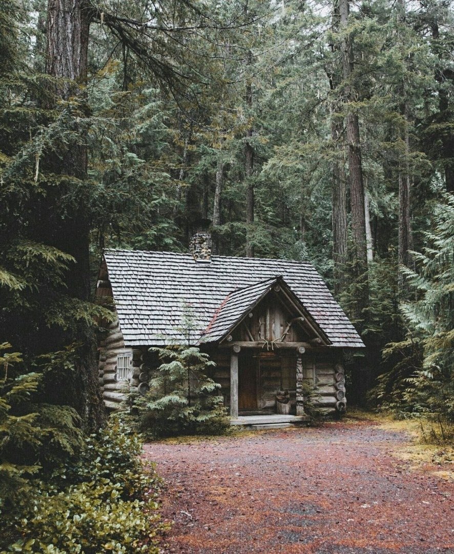 Дом на опушке леса