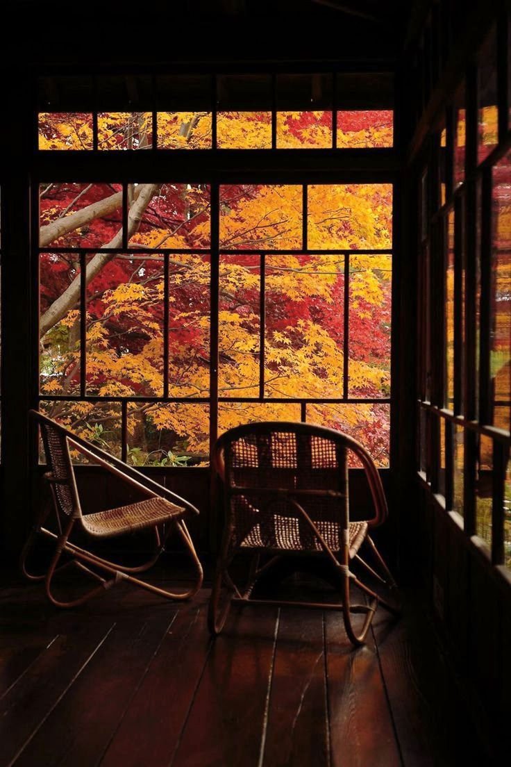 Осень вид из окна