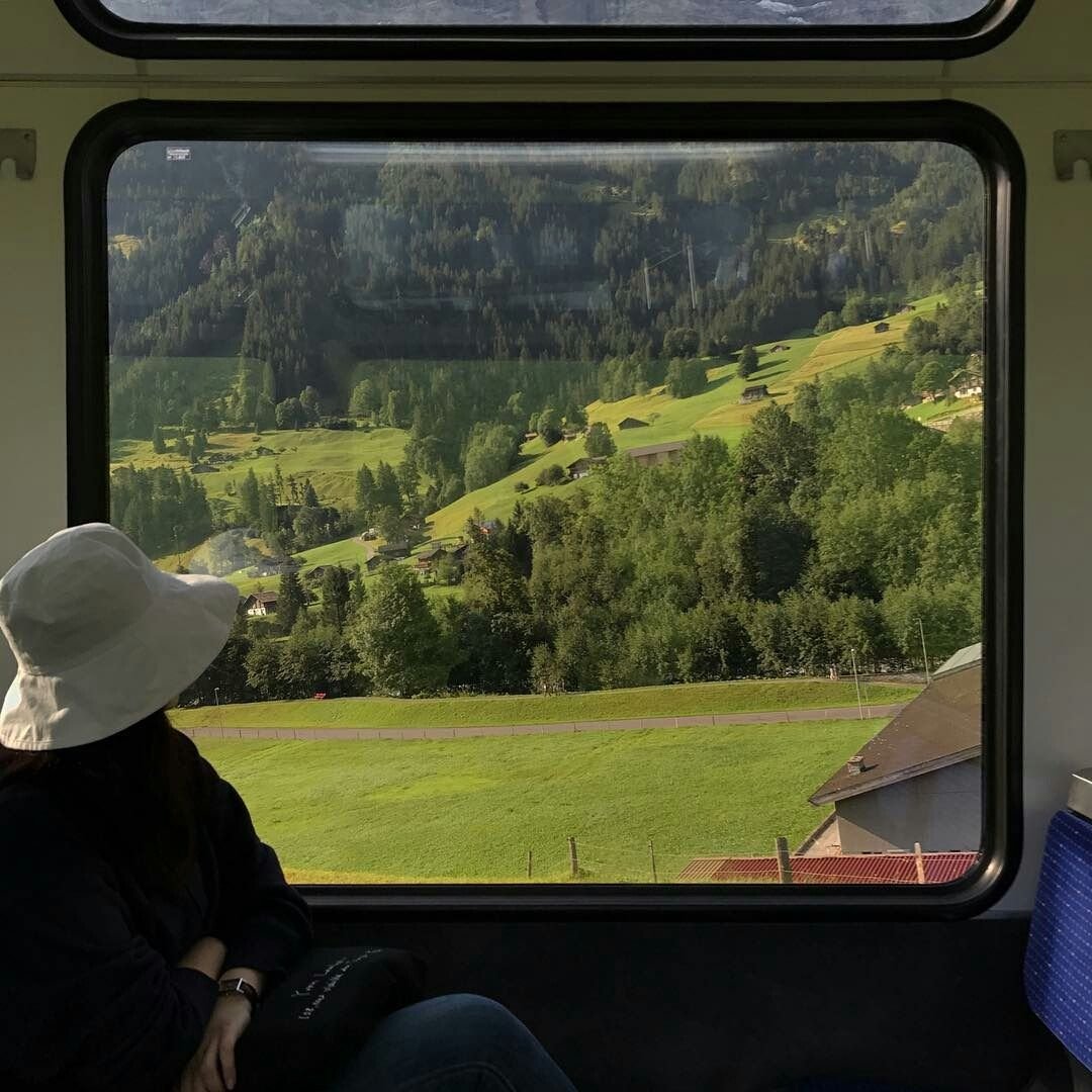 Поезд вид из окна