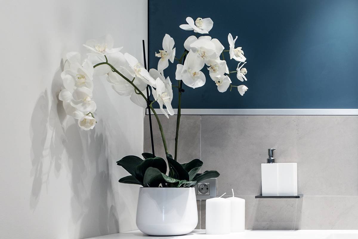 Орхидея в ванной комнате