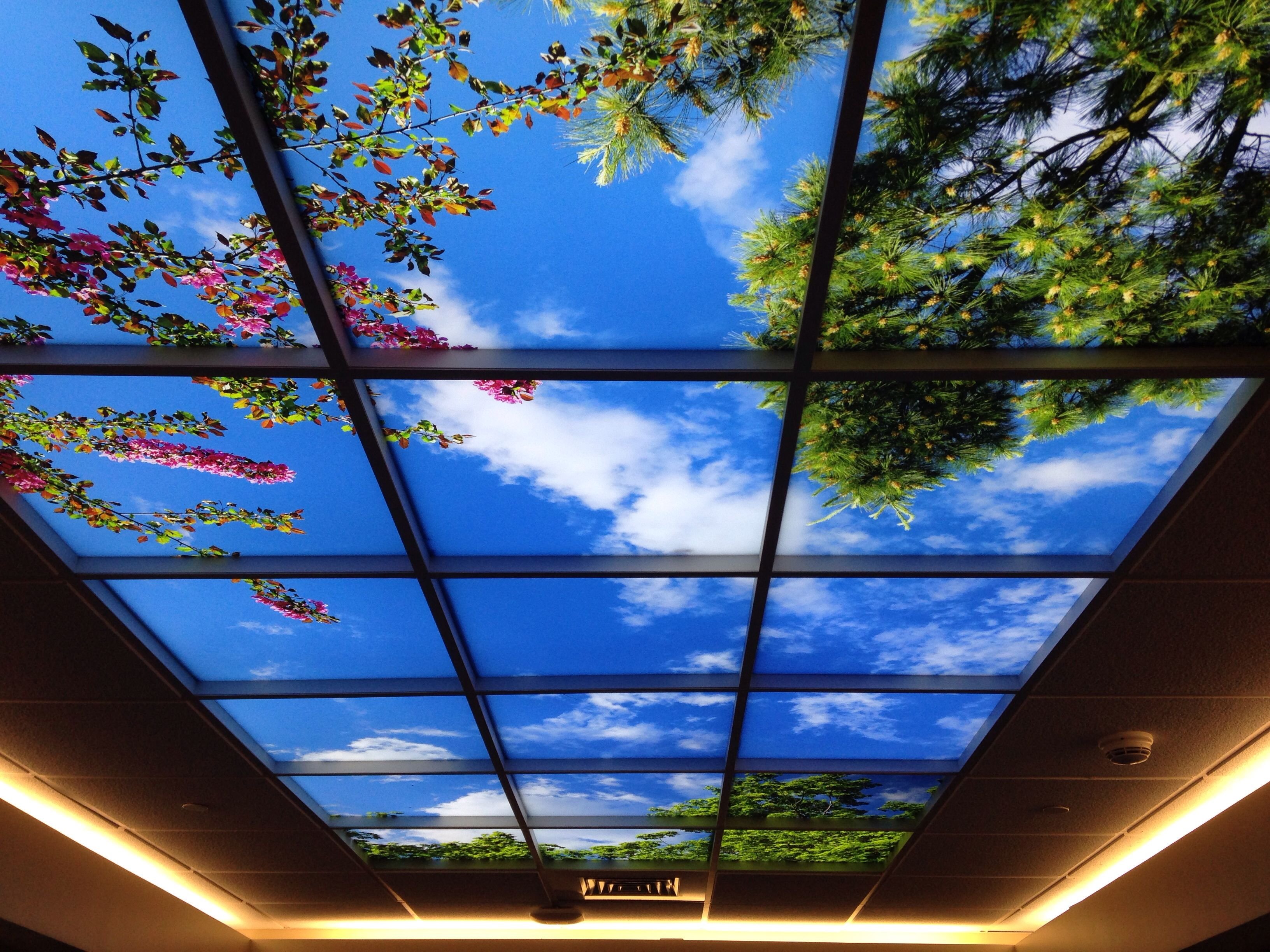 Купить потолок для дома. Натяжной потолок небо. Подвесной стеклянный потолок. Фотопечать на потолке. Натяжные потолки с фотопечатью.