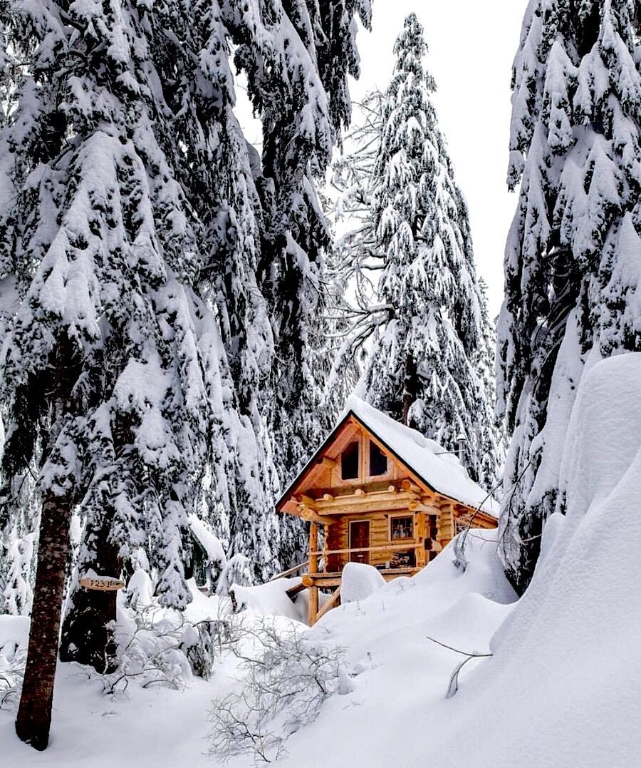 Зимний пейзаж домик в лесу