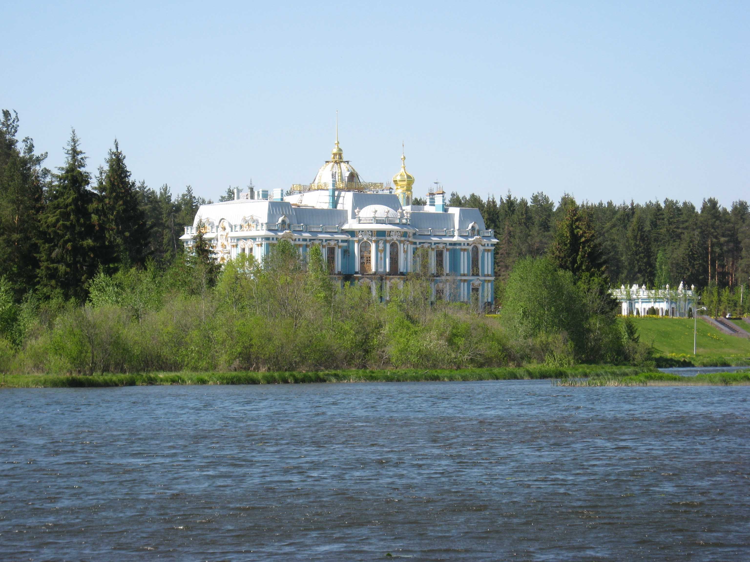 дом сергей александрович васильев (95) фото