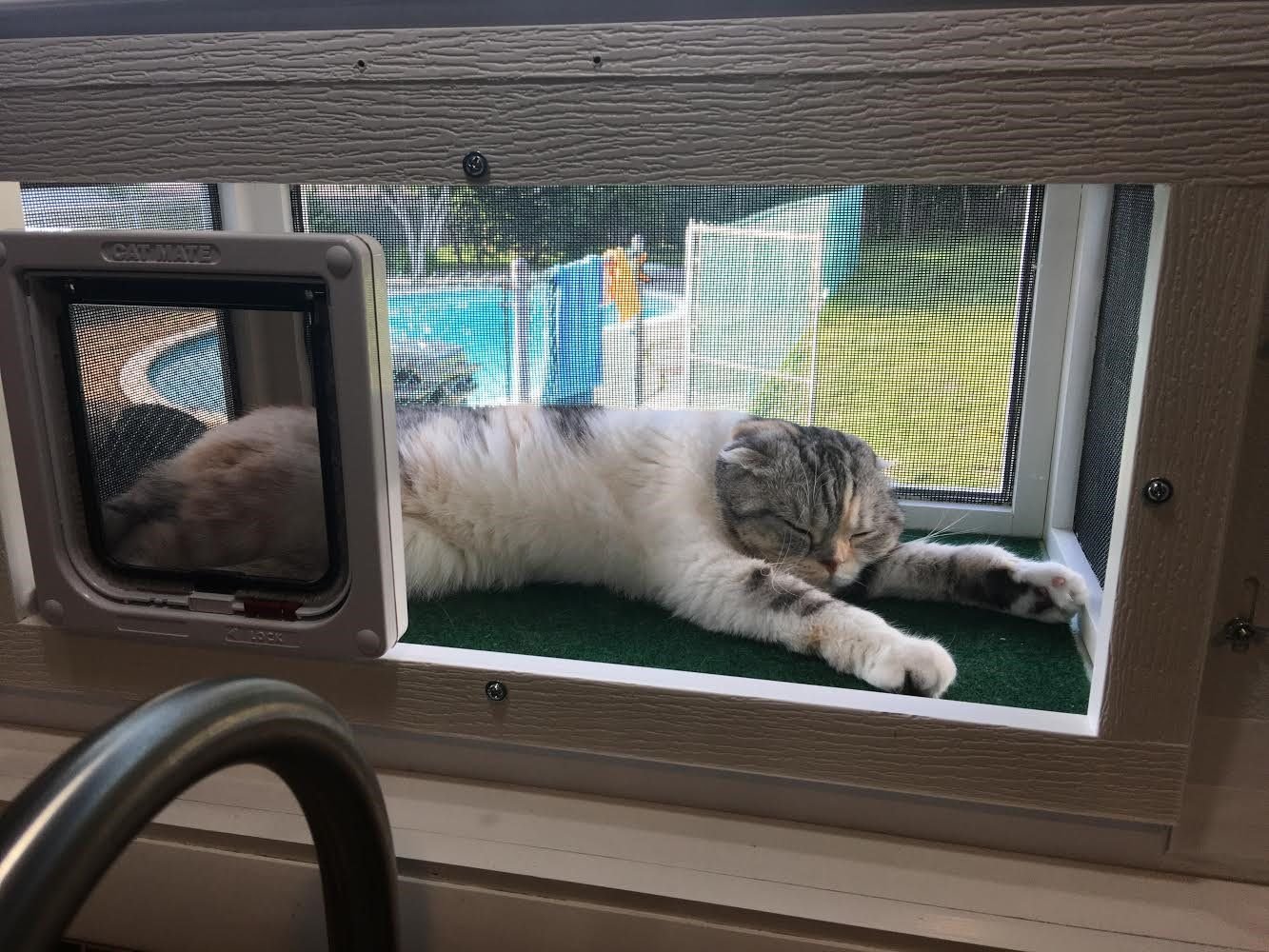 Кошачий балкон. Балкон для кошек. Домик для кошки на окно. Балкон для кота на окно. Домик для кота на балконе.