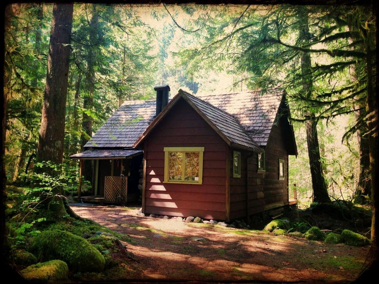 Forest House Хижина в лесу