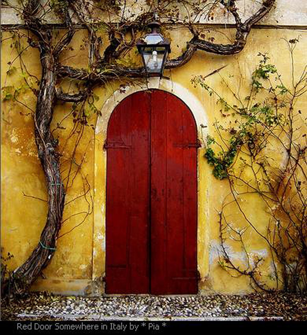 Красивые старые двери. Необычные двери. Красивые двери. Старинная дверь. Старая деревянная дверь.