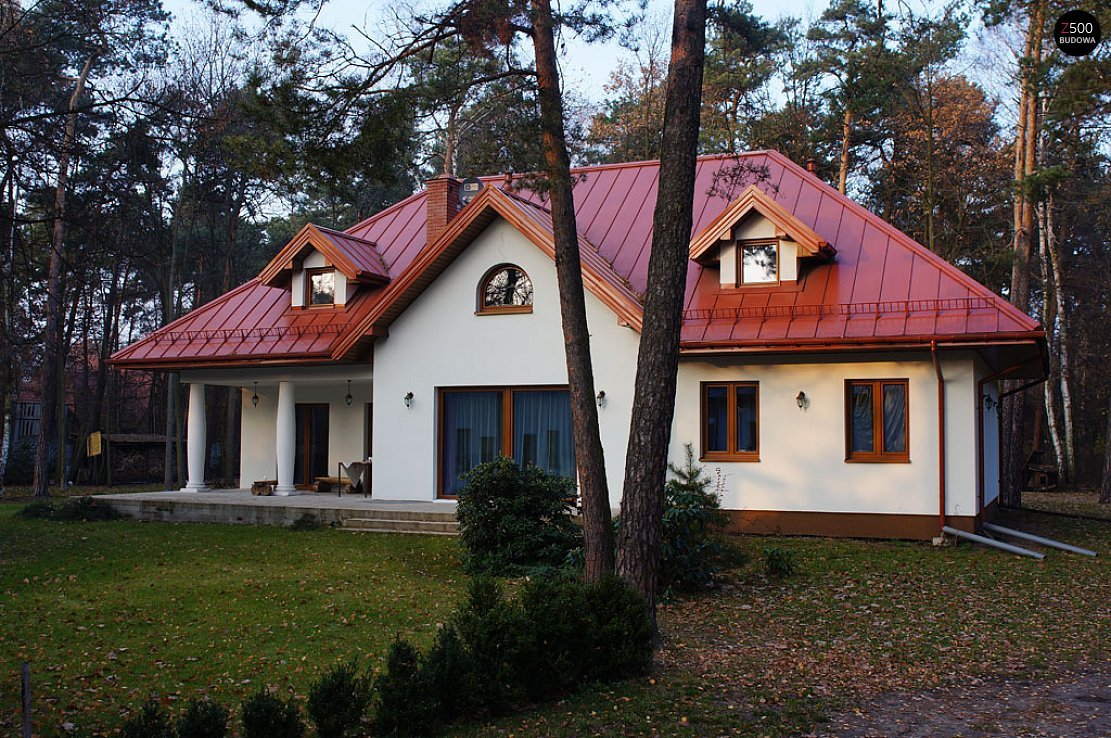 Дома с красной крышей