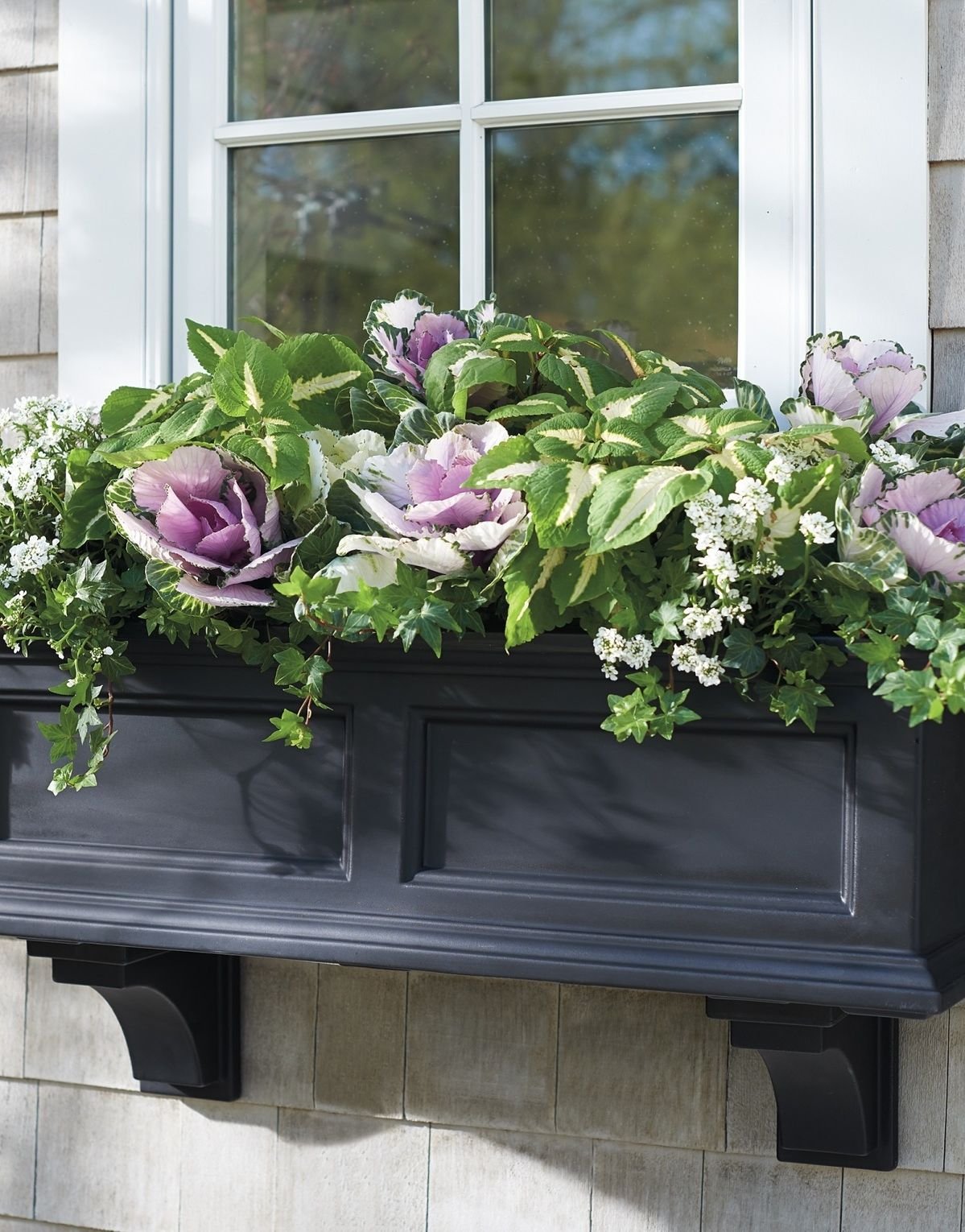 Window box. Композиции в балконных ящиках. Цветочные композиции в балконных ящиках. Цветник на подоконнике. Балконные ящики для цветов.