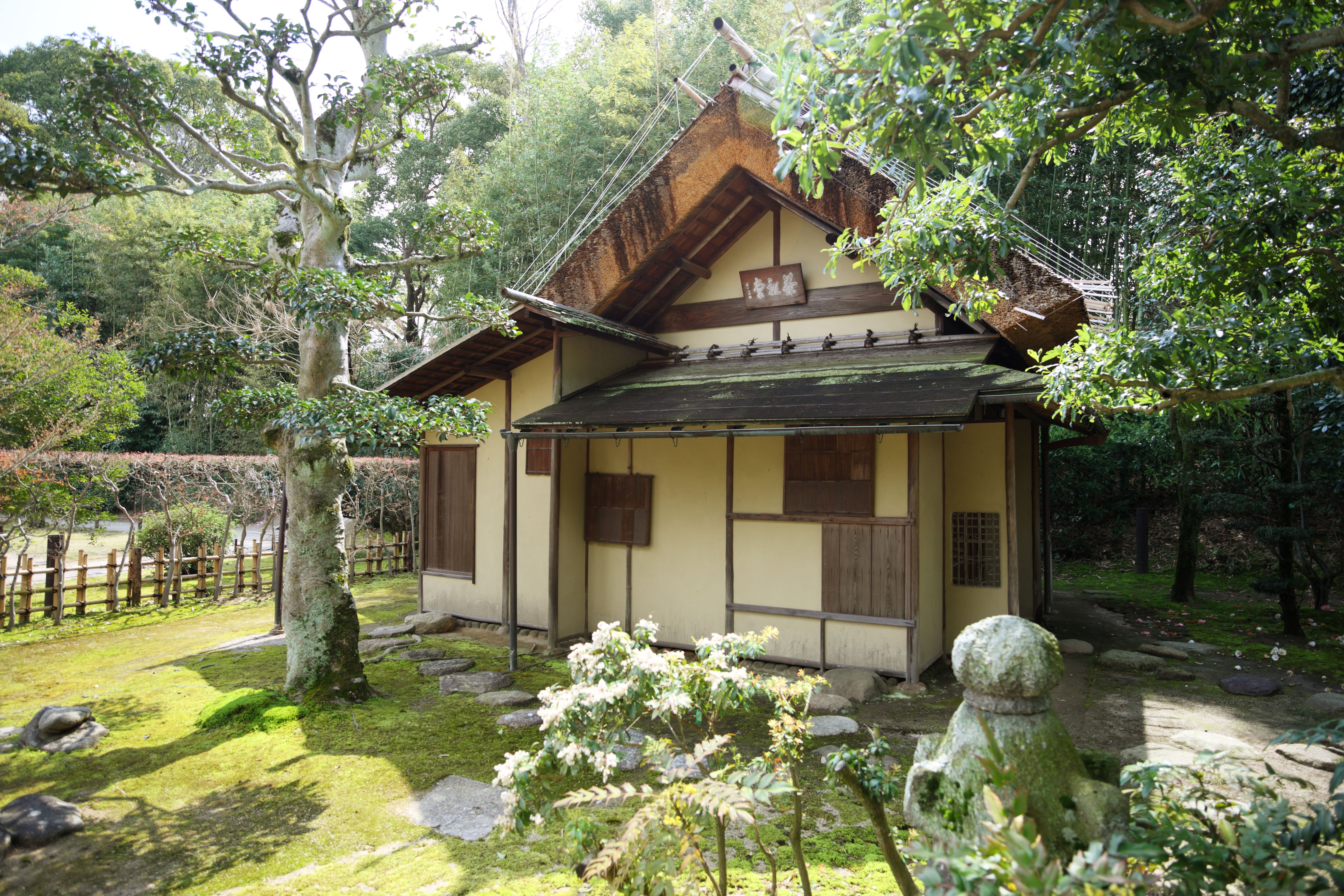 Японские дома купить. Чайный домик тясицу. Тясицу в Японии. Тясицу чайный домик в Японии внутри. Дом тясицу Япония.
