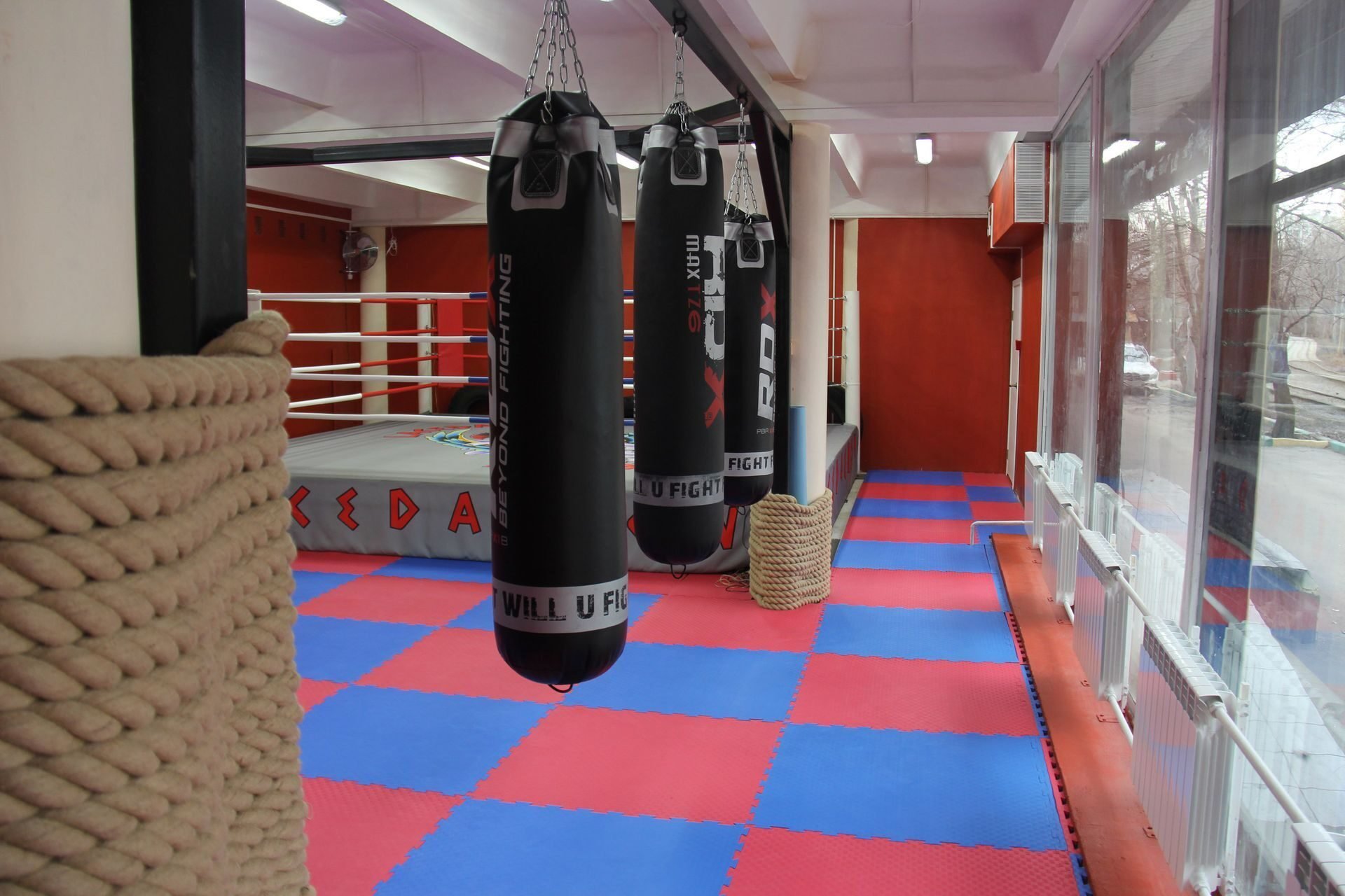 California Boxing Club Москва