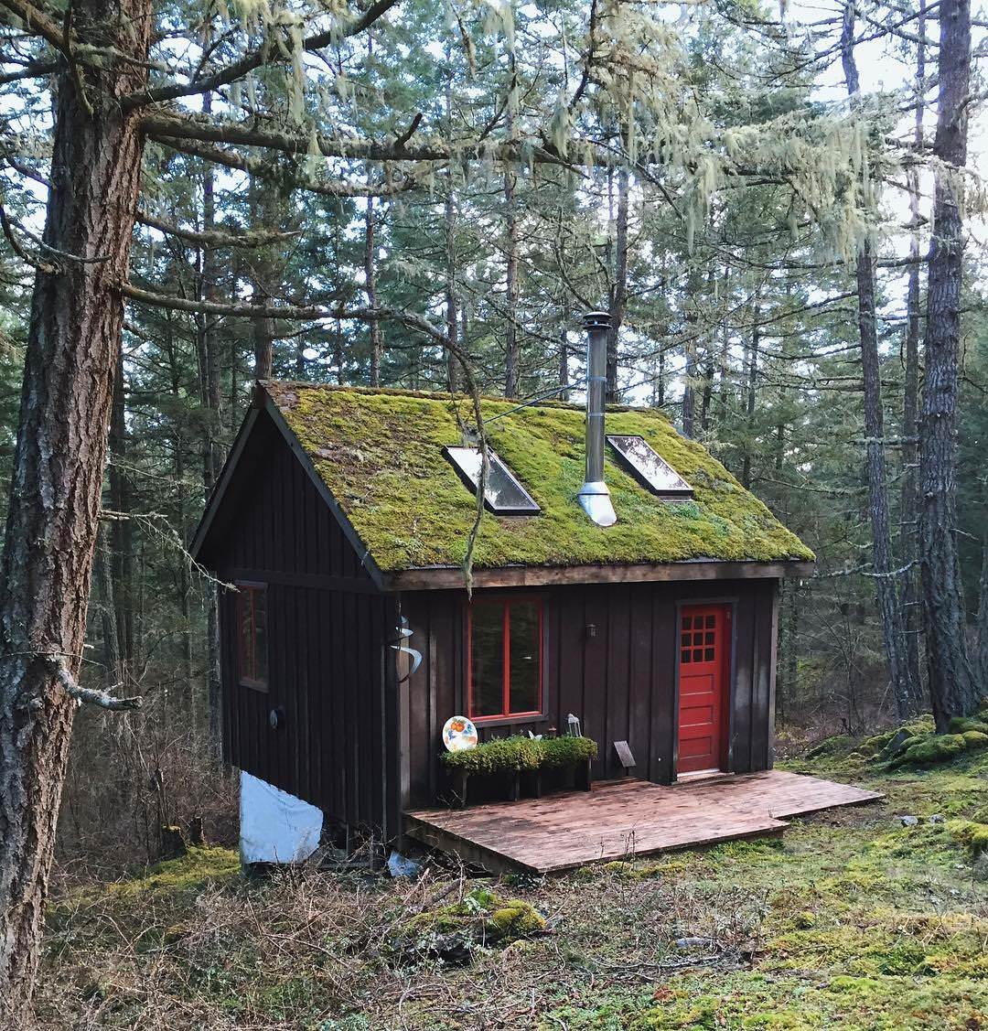 Cabin's. Кэбин хаусы. Лог Кэбин Тини. Тини Хаус в лесу. Кемпинг домики.