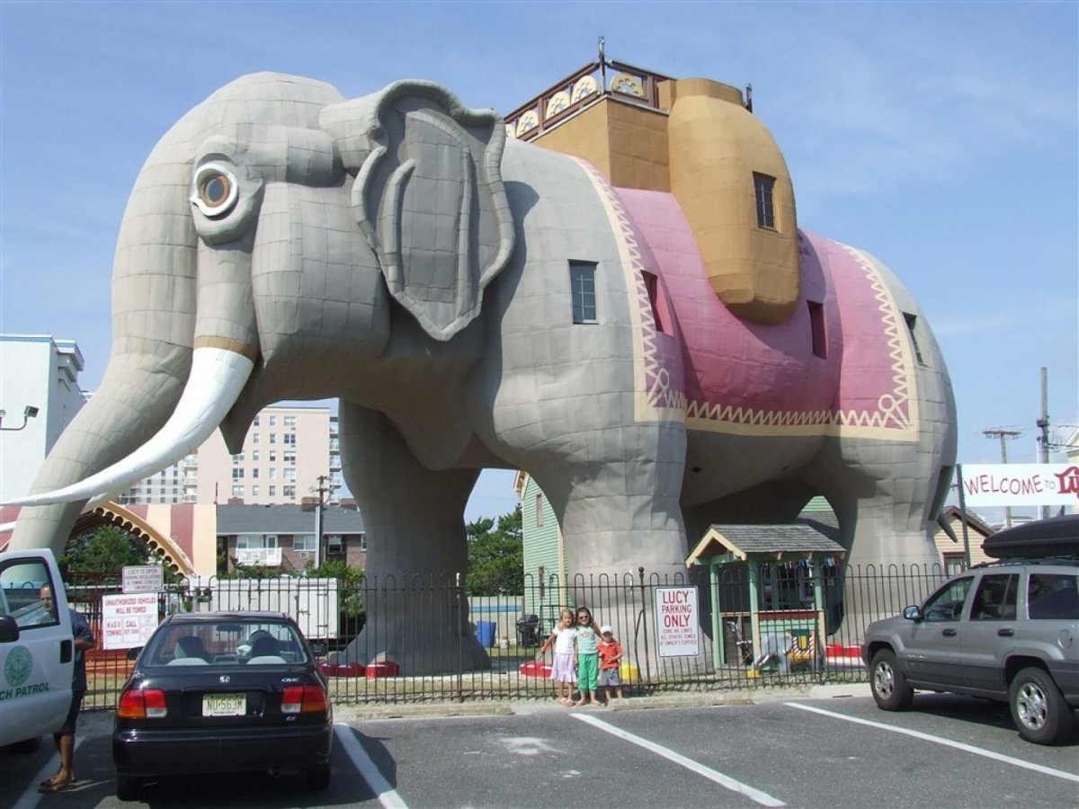 Дом слон на новорязанском шоссе