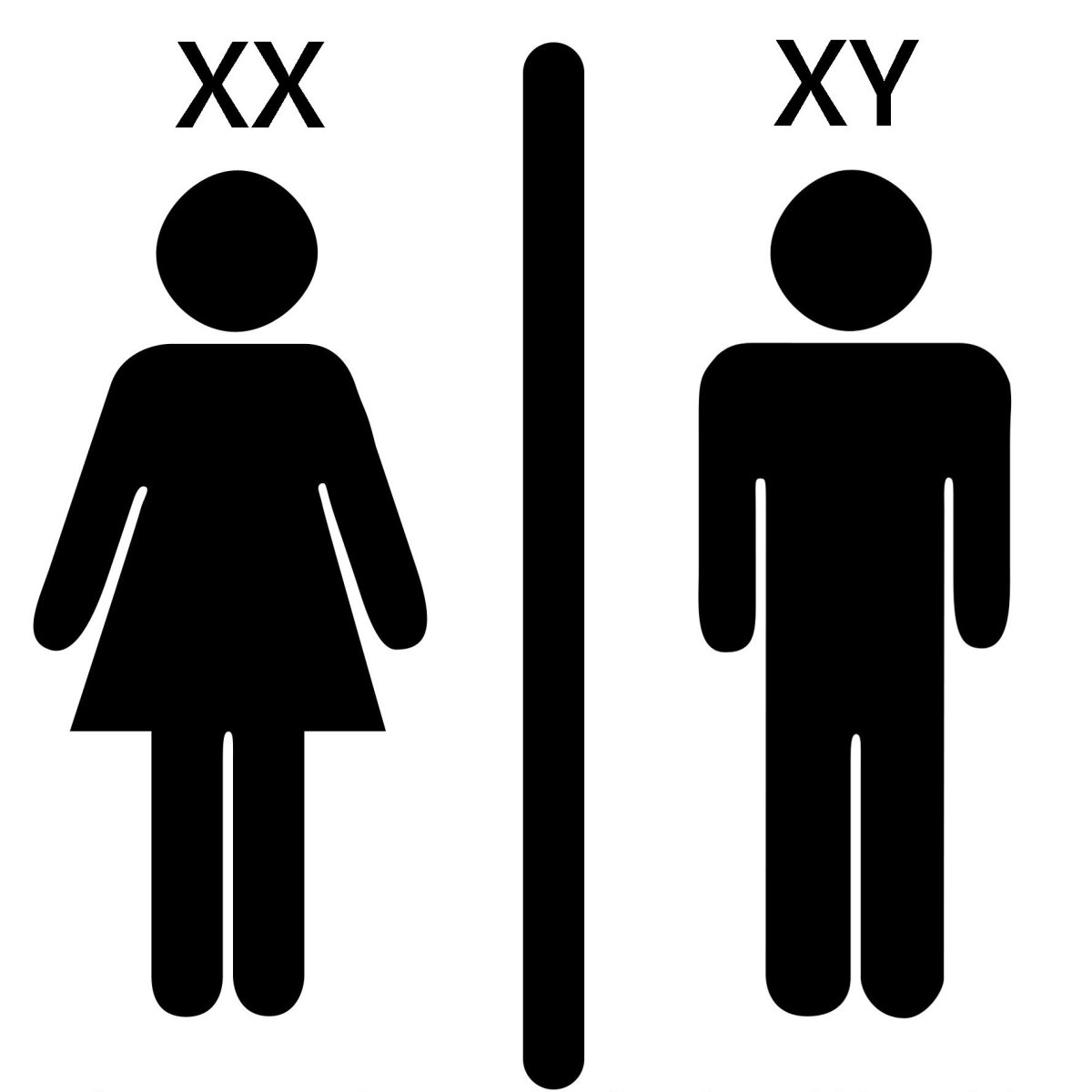 Картинка туалет девочек. Табличка "туалет". Значок туалета. Туалет символ. Значок туалета м и ж.