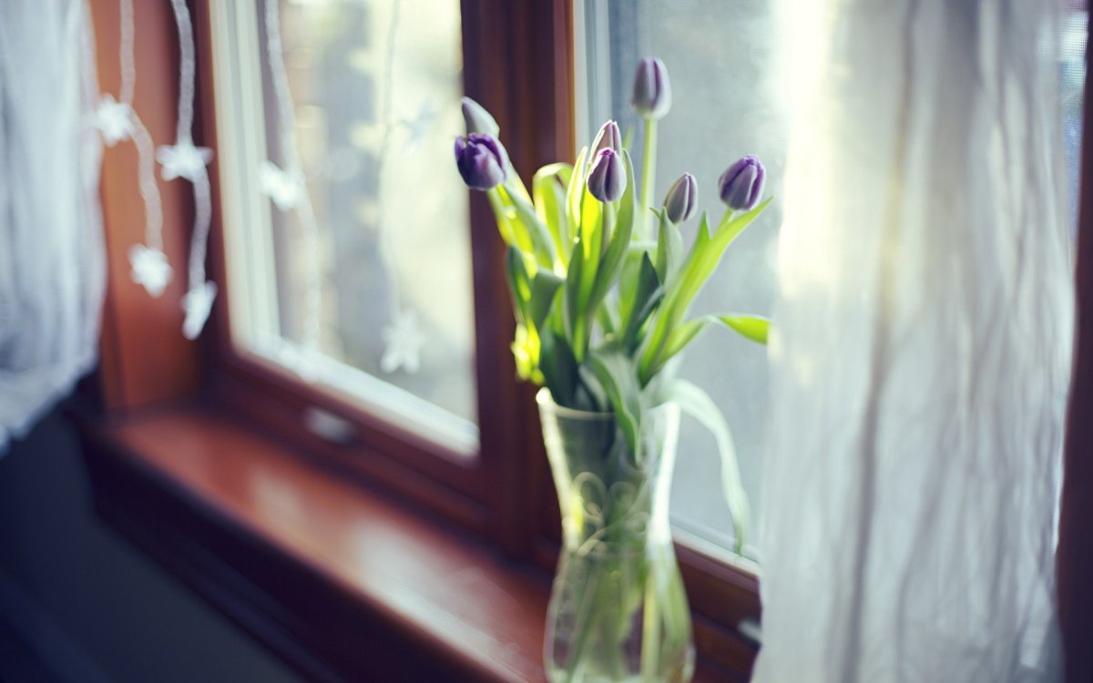 Весна за окном