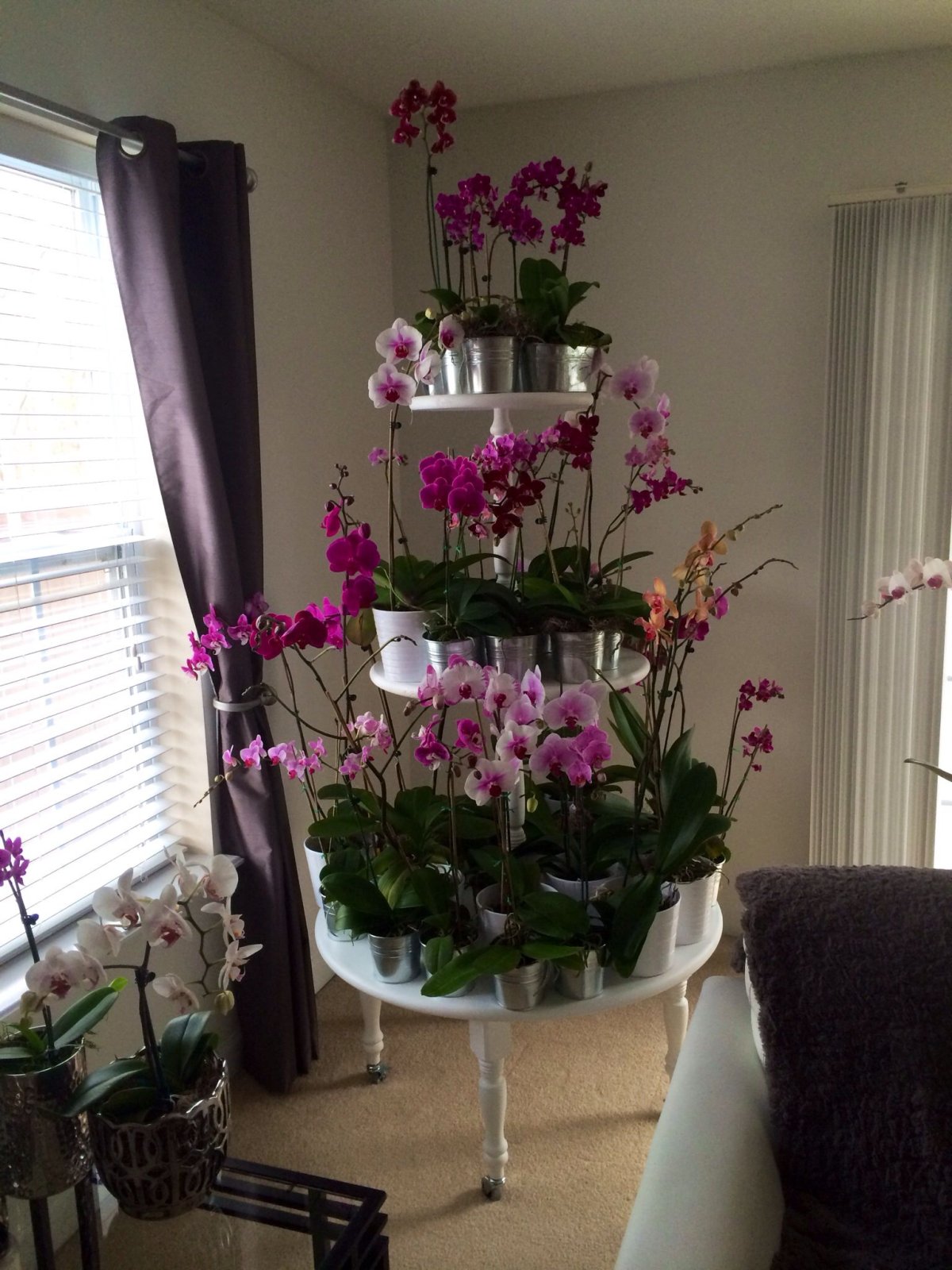 Подставка для орхидей на окно