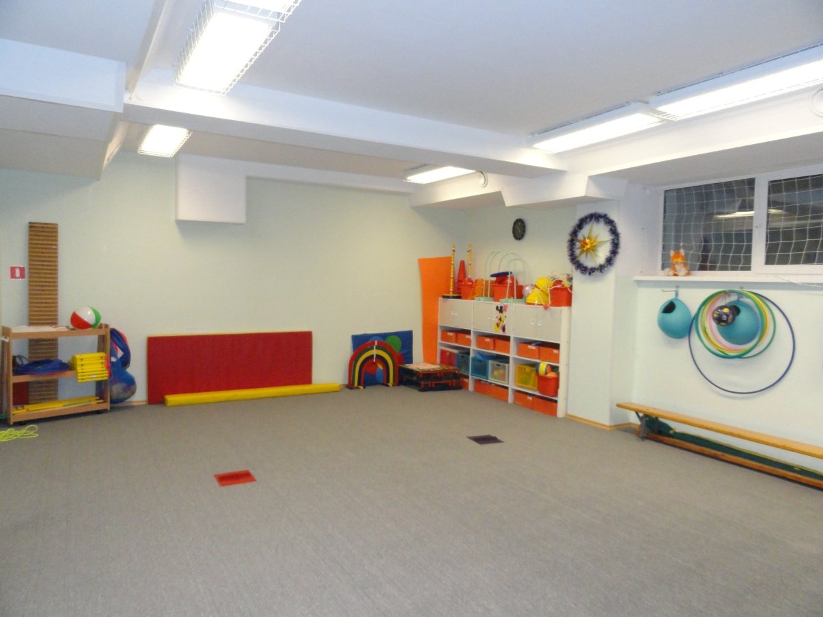 Инвентарь для спортивного зала детского сада
