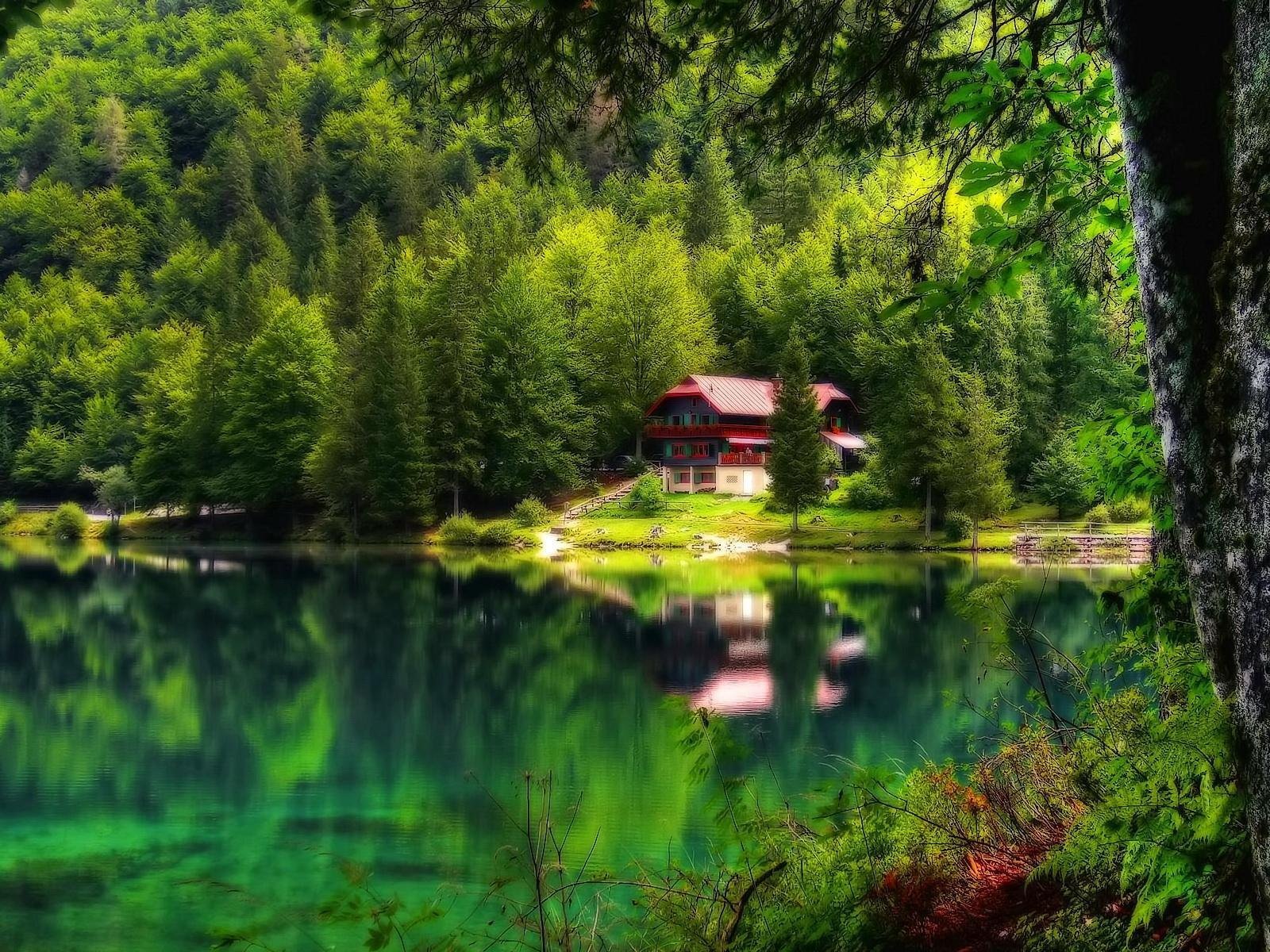 Озера рядом с деревнями. Домик в лесу. Красивый домик в лесу. Красивые домики на природе. Домик в лесу у озера.