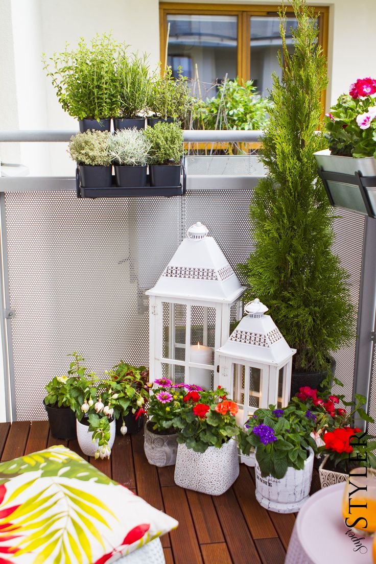 Озеленение балкона растения
