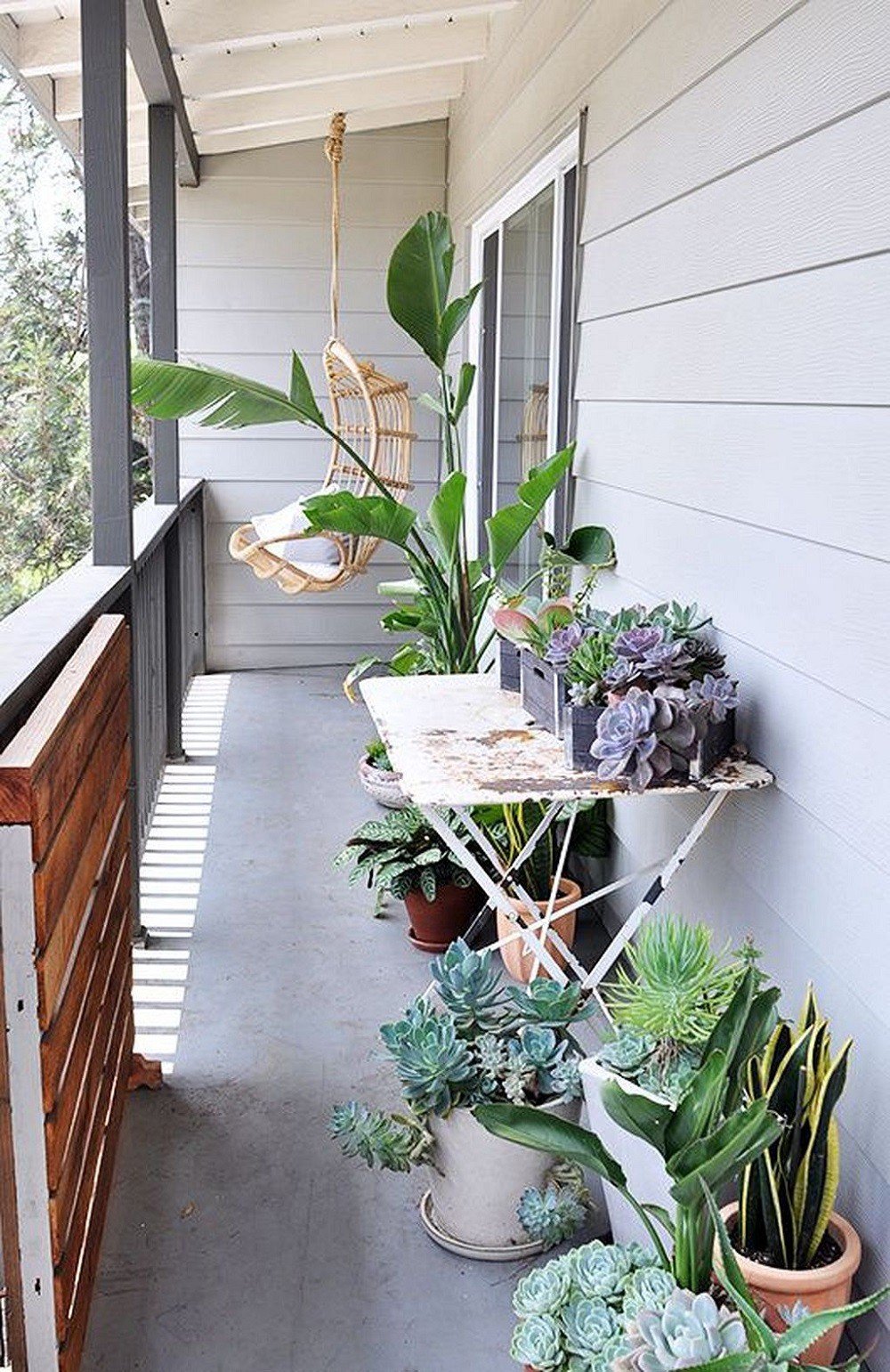 Озеленение балкона растения - 69 фото