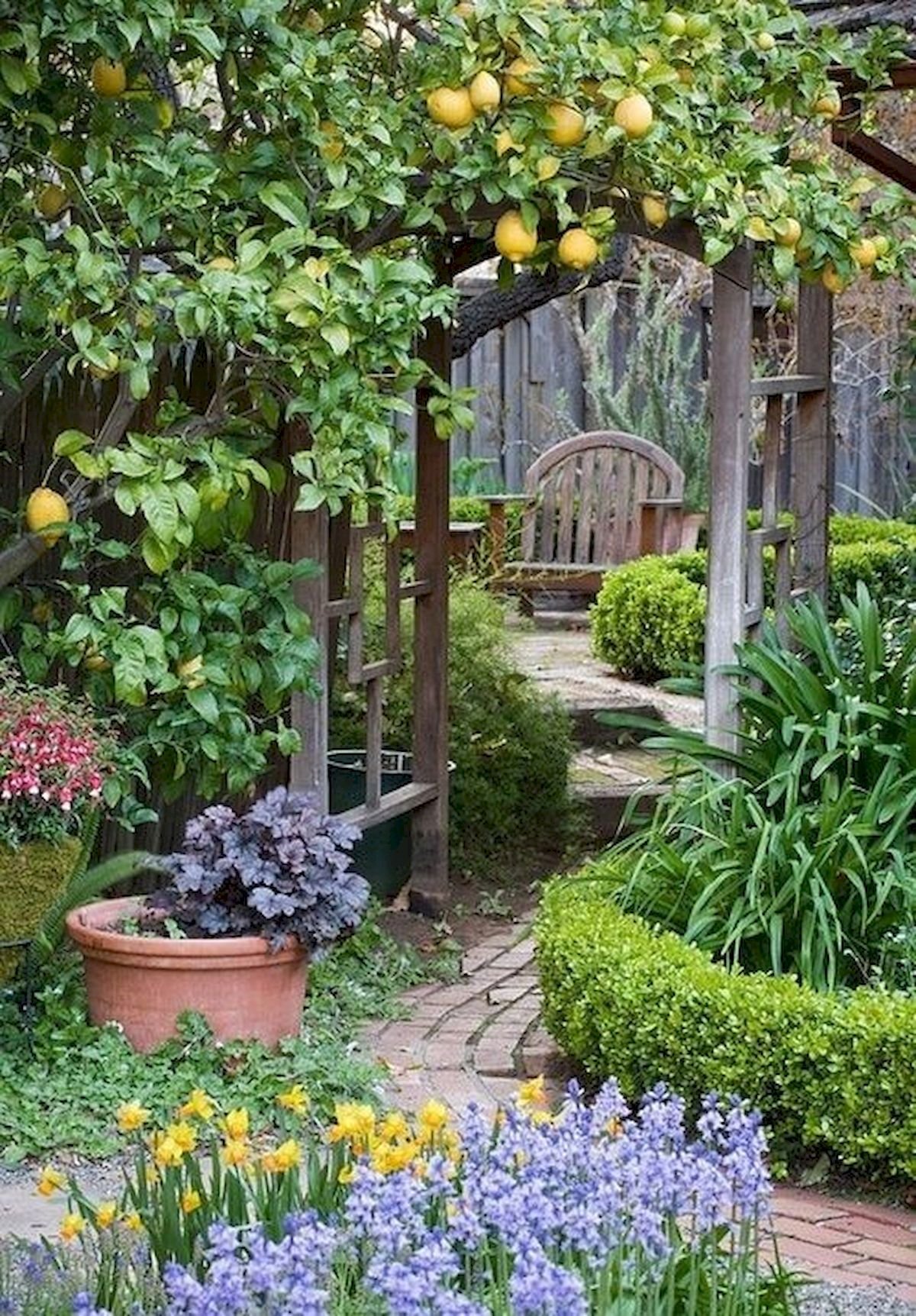 Плодовый сад в ландшафтном дизайне