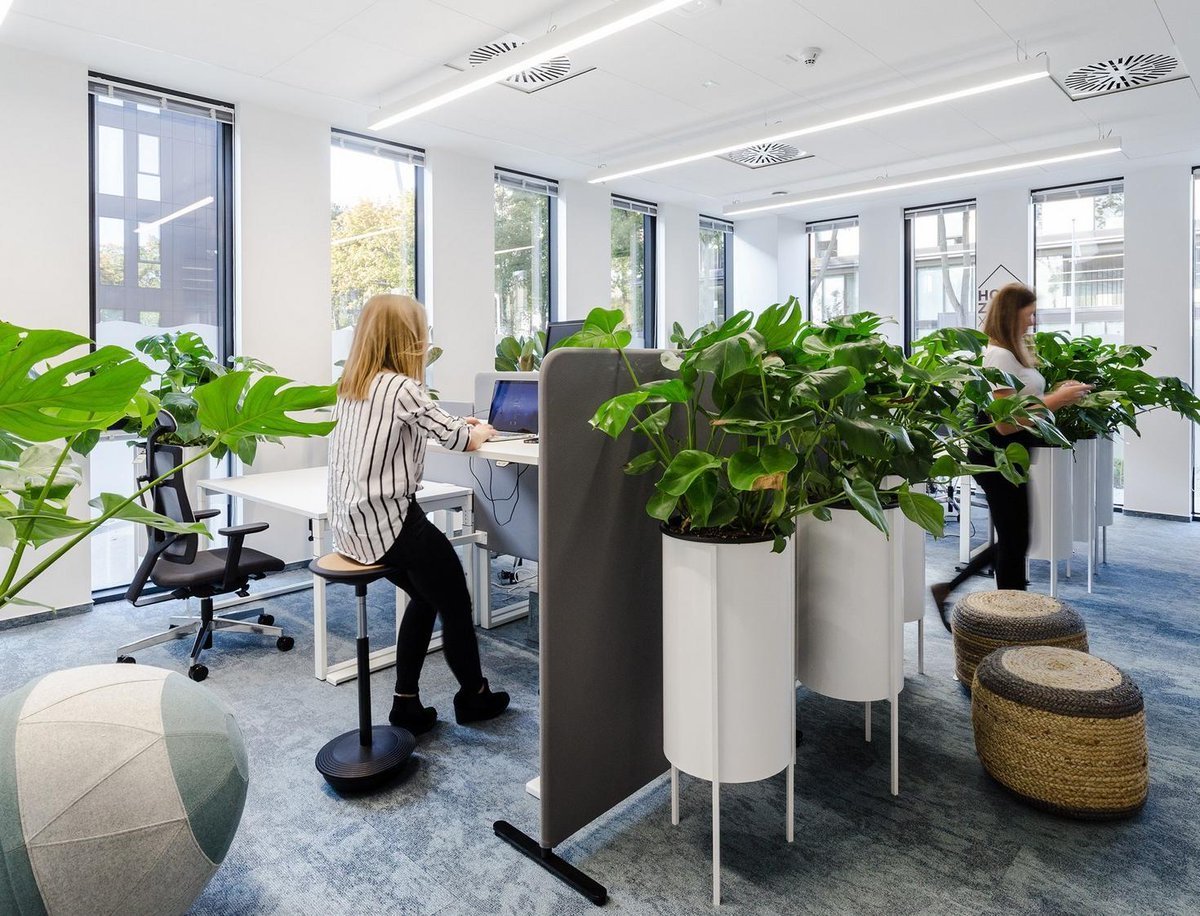 Озеленение офиса готовые решения