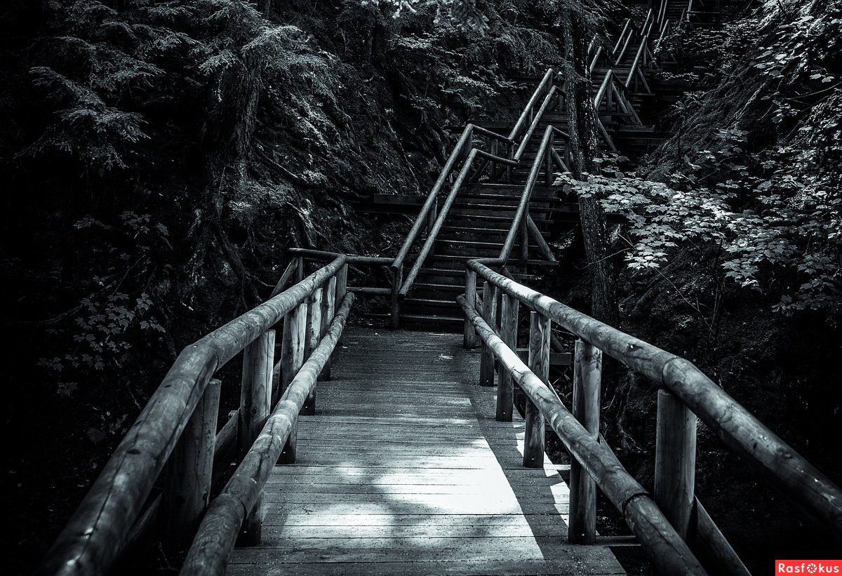 Лестницы в лесу мистика