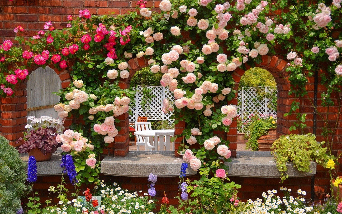 Розы на заборе ландшафтный дизайн - 67 фото