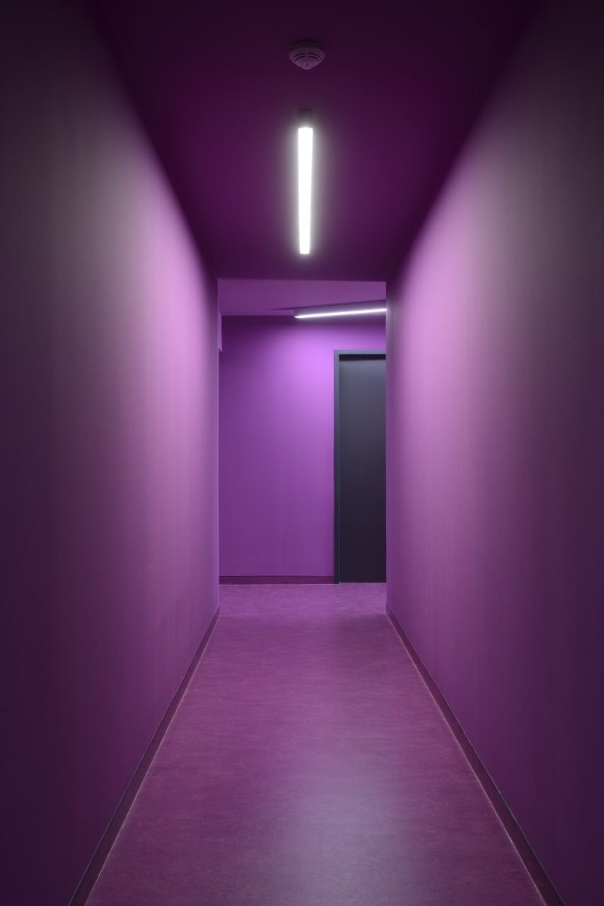 Фиолетовый коридор