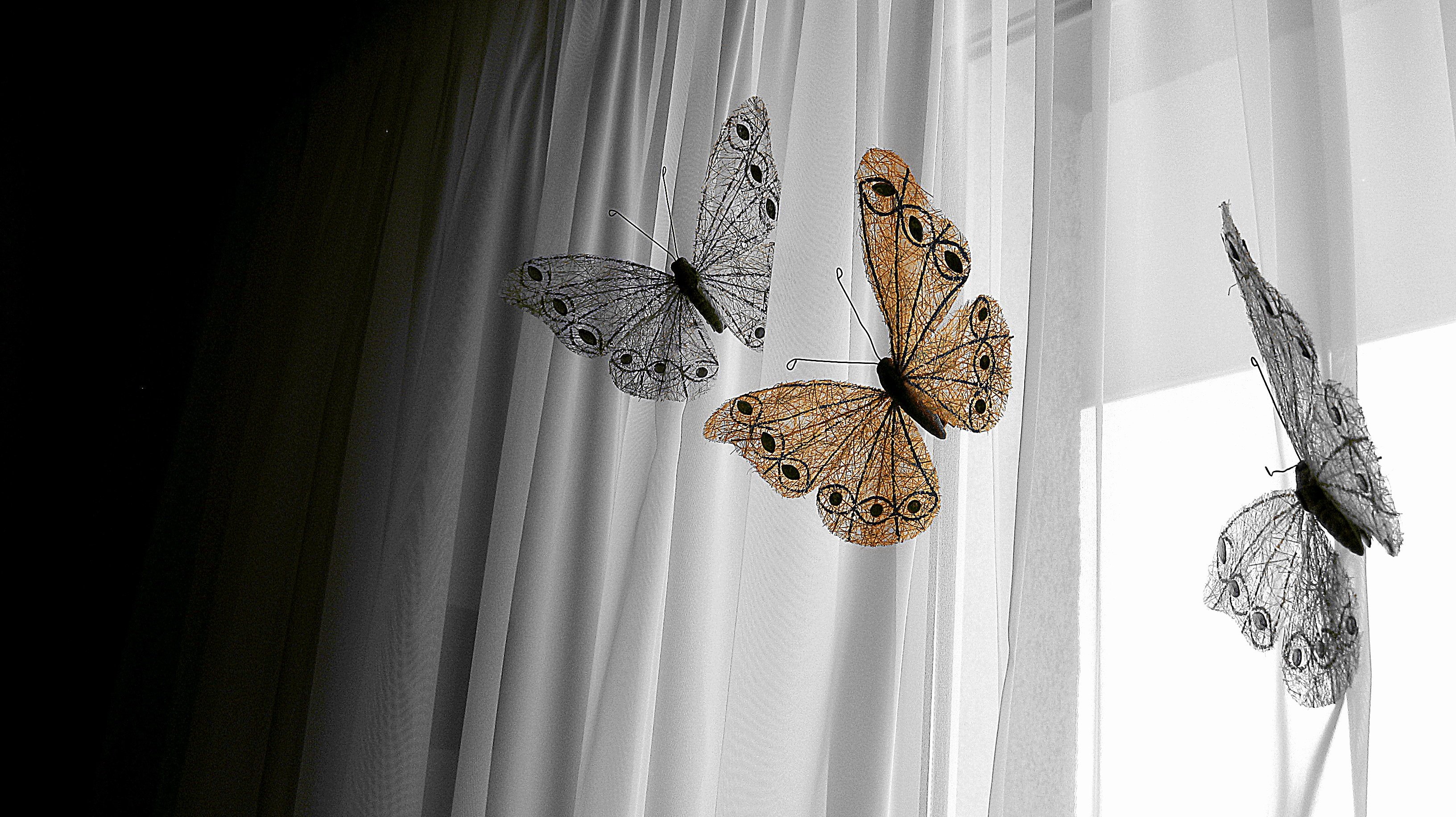 Бабочки влетают в дом. Бабочки на окна. Декоративные бабочки. Мотылек на окне. Бабочки интерьерные на окне.