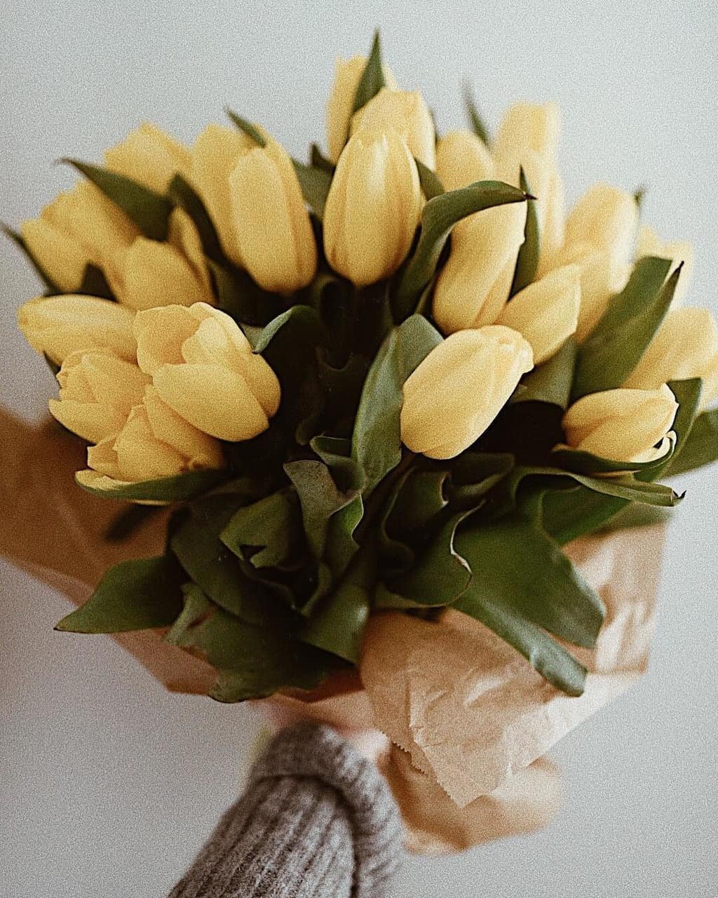 Зефирные тюльпаны в домашних условиях. Букет зефирные тюльпаны желтые. Креативный букет тюльпанов. Красивые букеты из тюльпанов. Необычный букет тюльпанов.