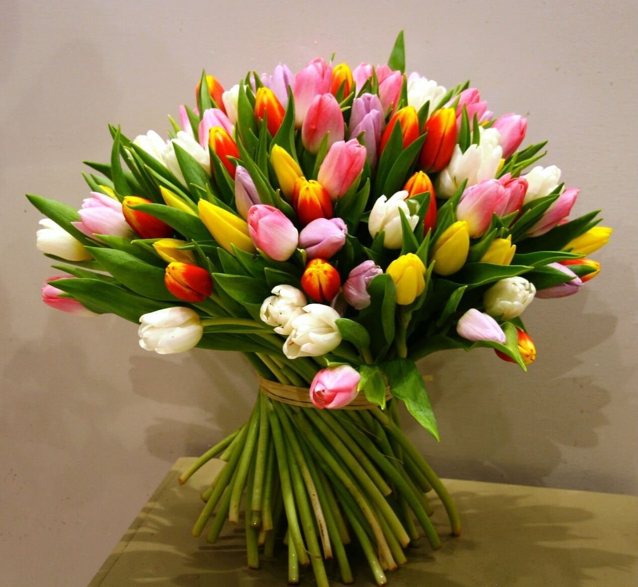 Букет из тюльпанов разных цветов. Букет из разноцветных тюльпанов. Огромный букет тюльпанов. Охапка тюльпанов.