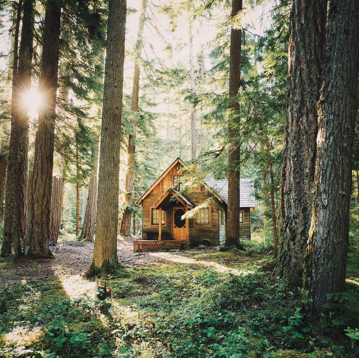 Дом на лесной опушке