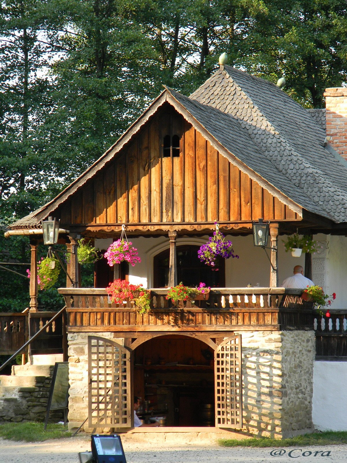 Дом в молдавии