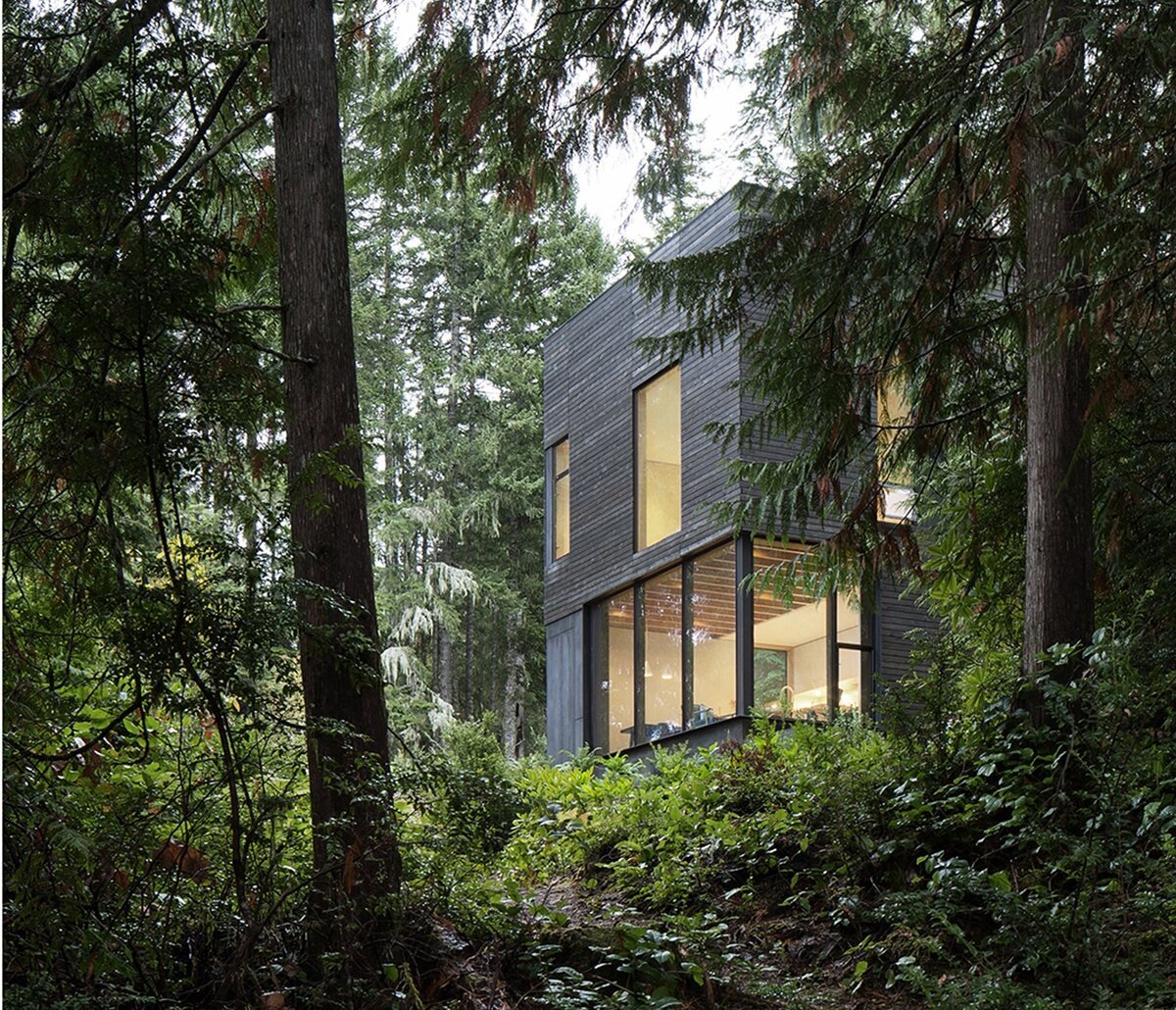 Дом в глухом лесу