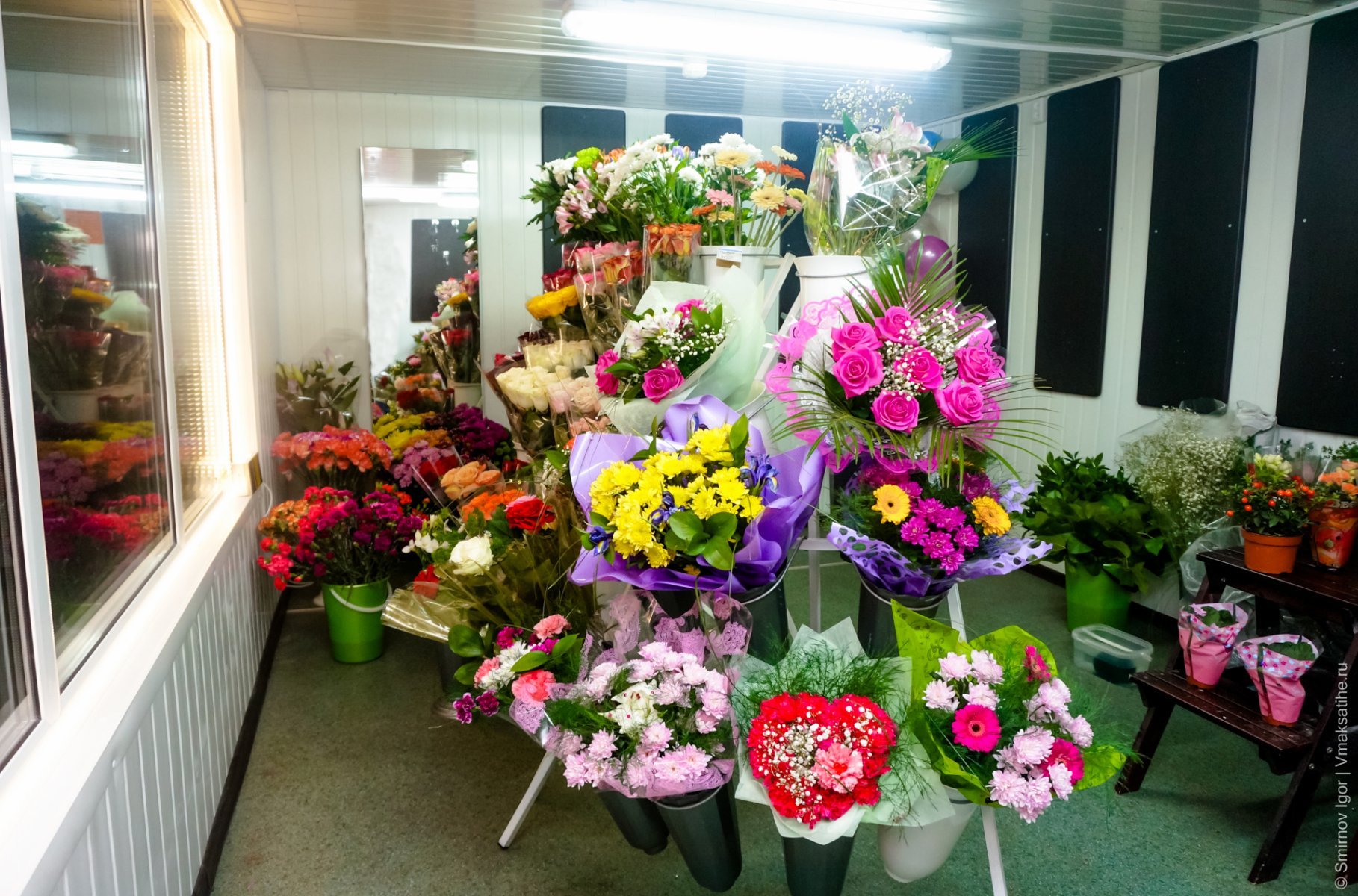 Цветочные магазины свердловской области. Цветы в цветочном магазине. Цветы магазинные. Цветочный магазин комнатных растений. Салон цветов.
