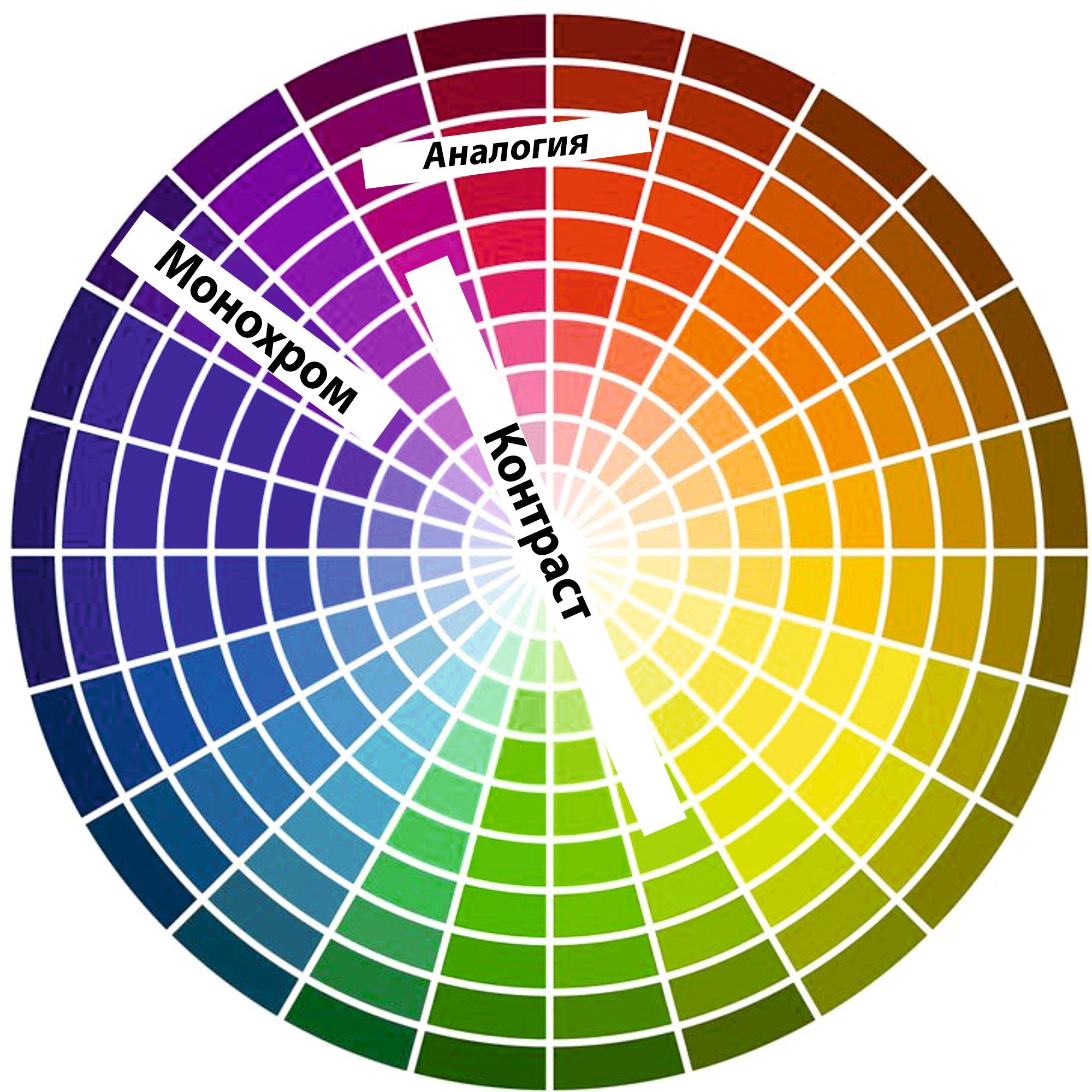Круг противоположных цветов. Цветовой круг Иттена колористика. Цветовые сочетания круг Итона. Цветовой круг дизайнера. Дизайнерский цветовой круг сочетание цветов.