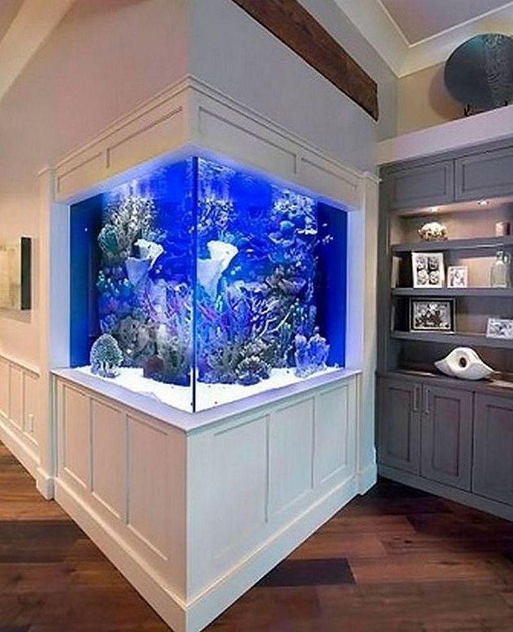 Большие аквариумы дома