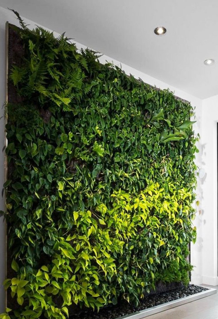 Зеленая стена в квартире