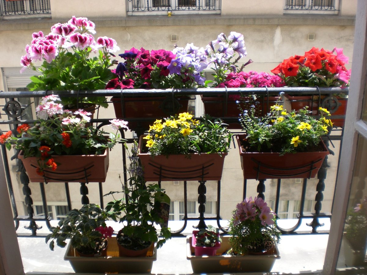 Искусственные цветы для балкона